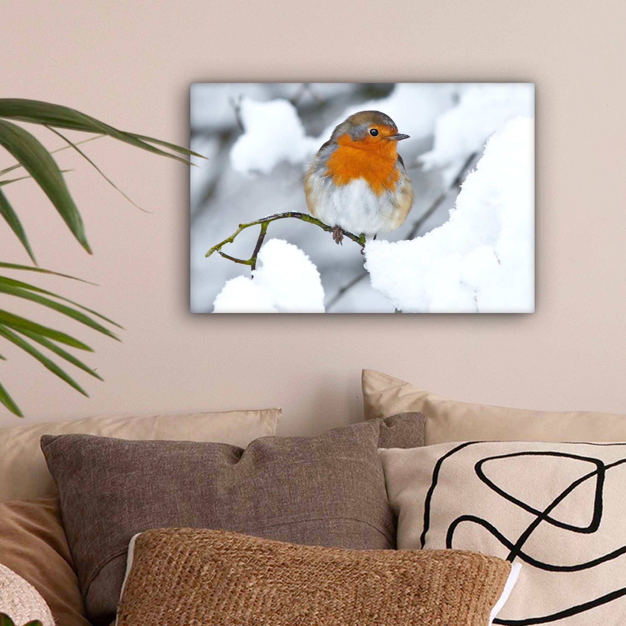 OneMillionCanvasses® Leinwandbild Rotkehlchen - Schnee - Winter, Fotodruck günstig online kaufen