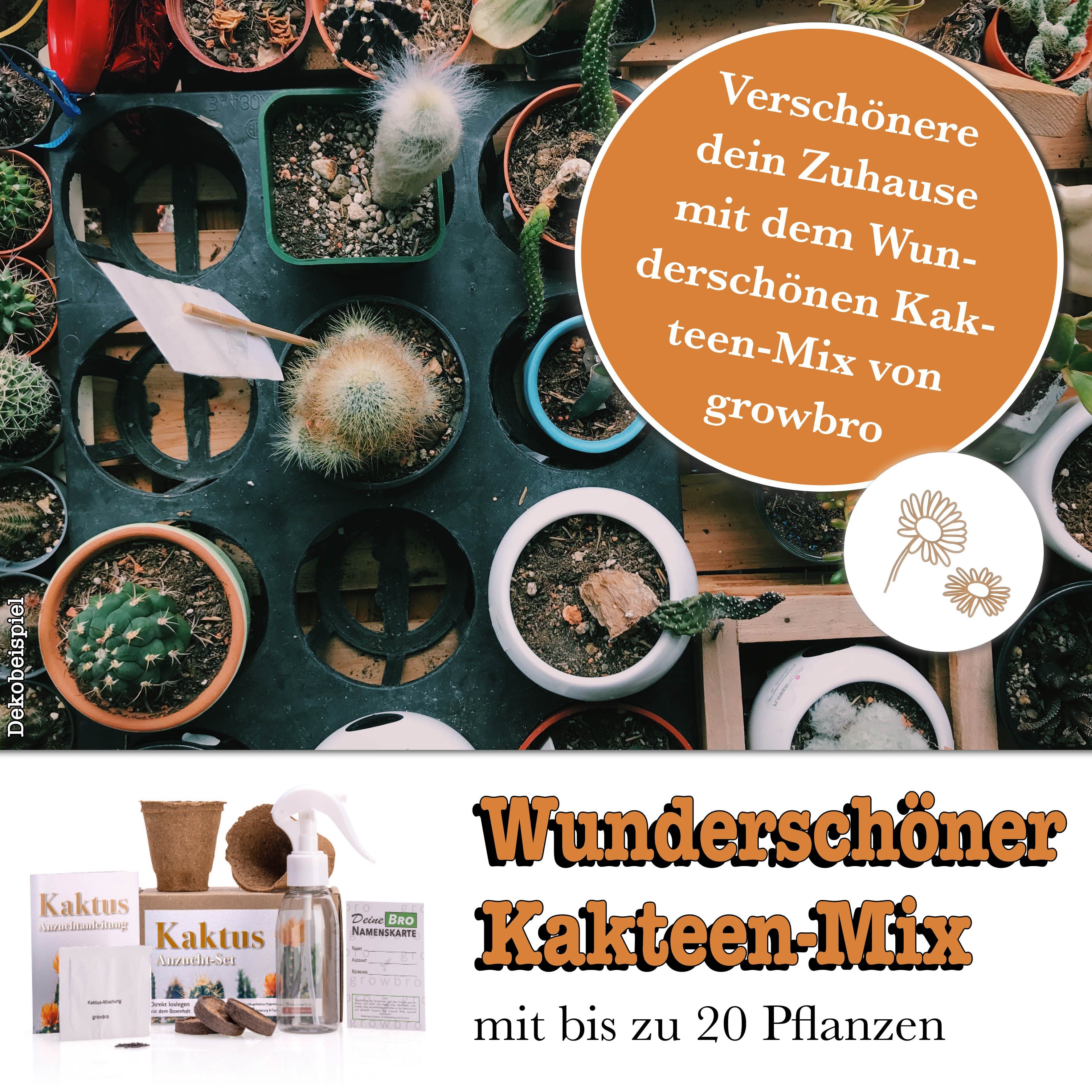 Kunstkaktus KAKTUS Anzuchtset inkl. Sprühflasche PERFEKTES GESCHENK, growbro, - Bekannt aus Social Media