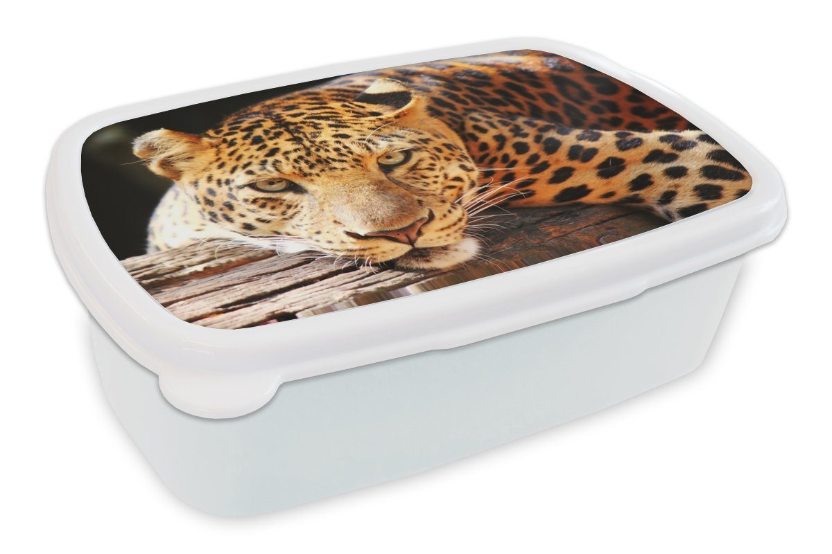 MuchoWow Lunchbox Panther - Baum - Natur, Kunststoff, (2-tlg), Brotbox für Kinder und Erwachsene, Brotdose, für Jungs und Mädchen weiß