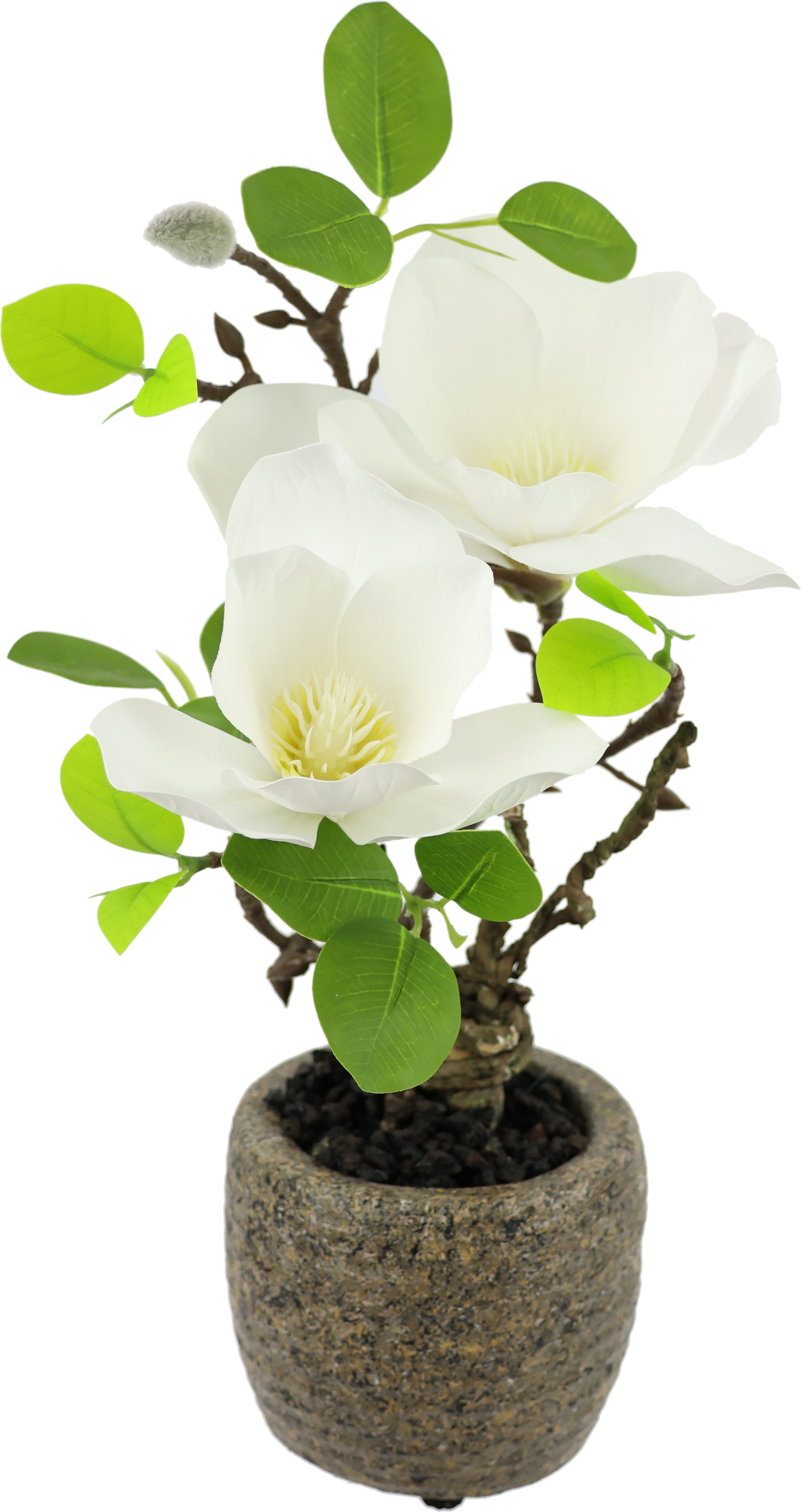 Kunstblume Magnolie im Topf, I.GE.A., Höhe 33 cm, Künstlich wie echt Deko Blume Zimmerpflanze Baum klein Magnolienblüten