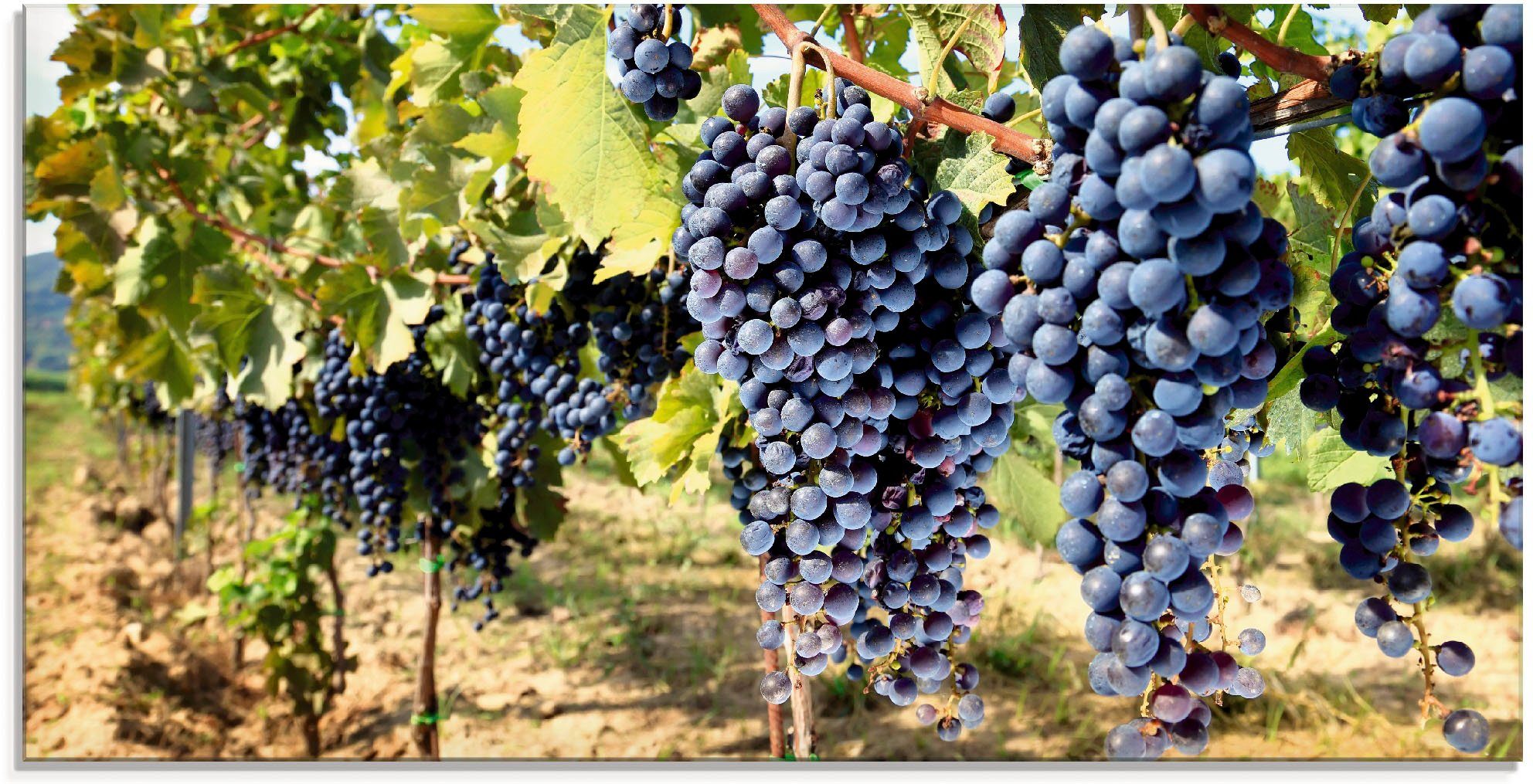 Artland Glasbild Toskanische Weintrauben, Süßspeisen (1 St), in verschiedenen Größen