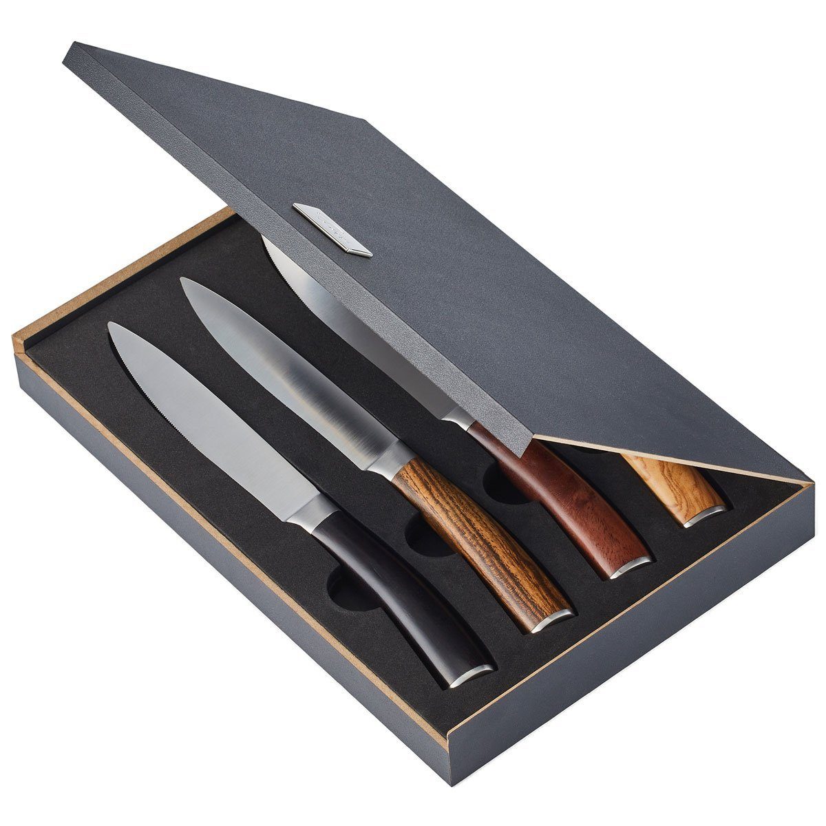 PHILIPPI Steakmesser Garry; Hochwertige Fleischmesser im 4er Set (4 Stück)