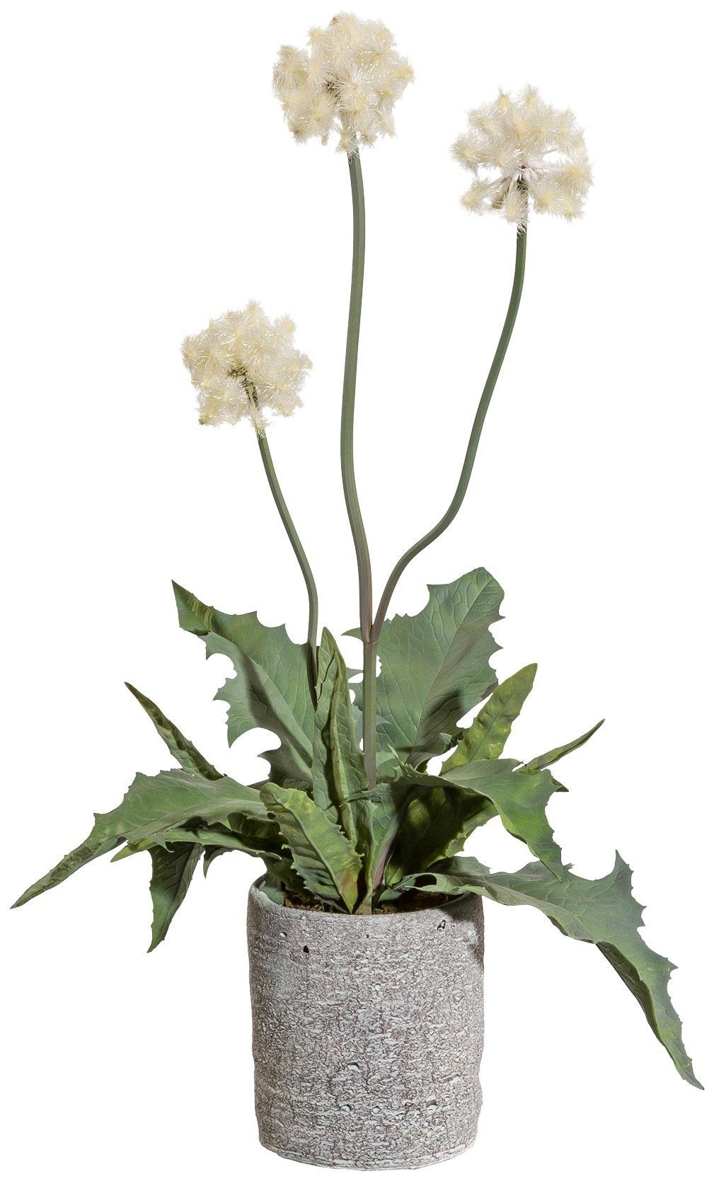 Kunstpflanze Distelbusch, Creativ green, Höhe Zementtopf 55 im cm