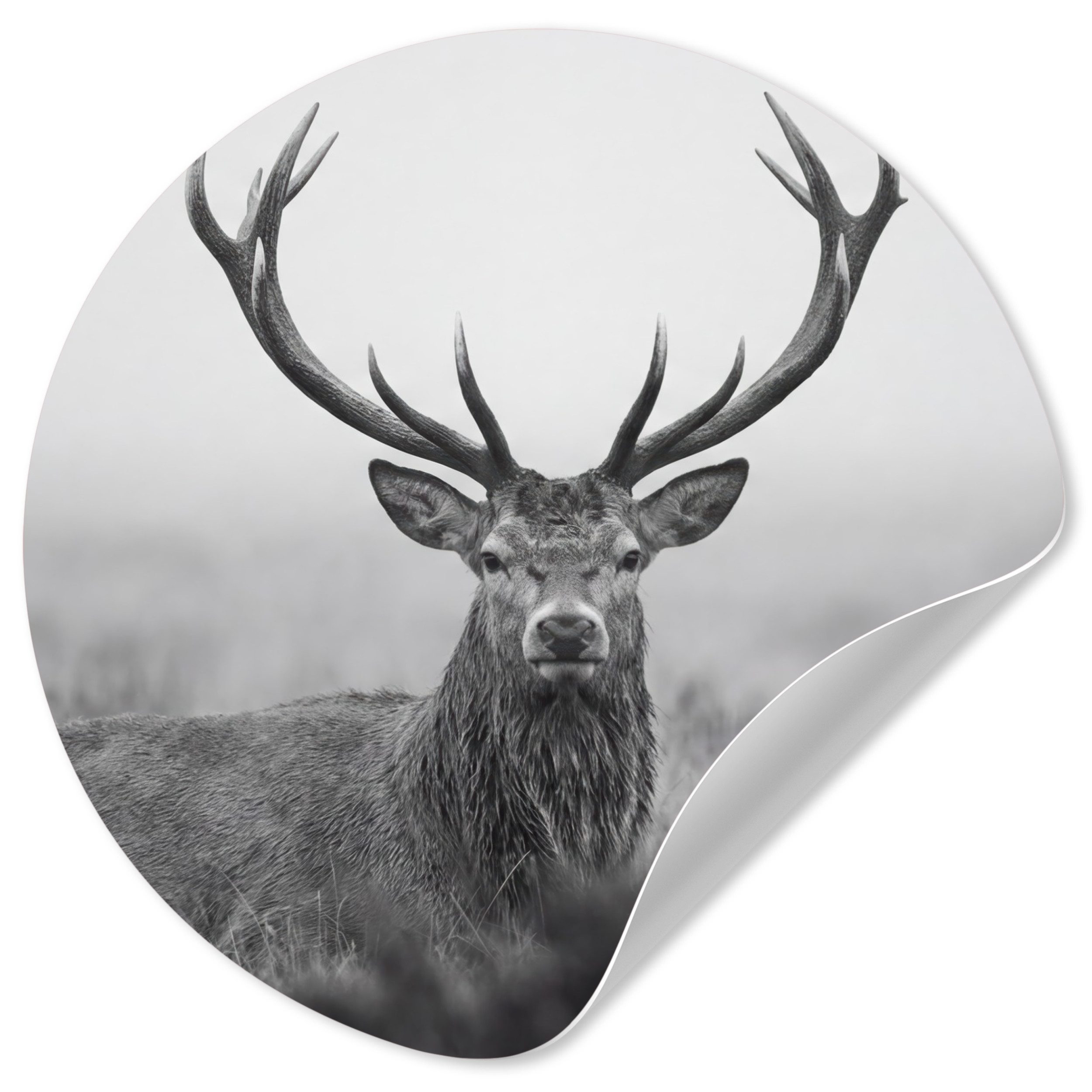 MuchoWow Wandsticker Hirsch - Neblig - Schwarz - Weiß (1 St), Tapetensticker Selbstklebend, Wandbild Wohnzimmer, 80x80 cm