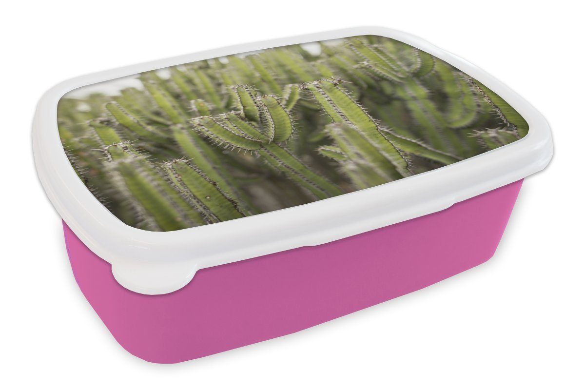 MuchoWow Lunchbox Gruppe von Kaktuspflanzen, Kunststoff, (2-tlg), Brotbox für Erwachsene, Brotdose Kinder, Snackbox, Mädchen, Kunststoff rosa