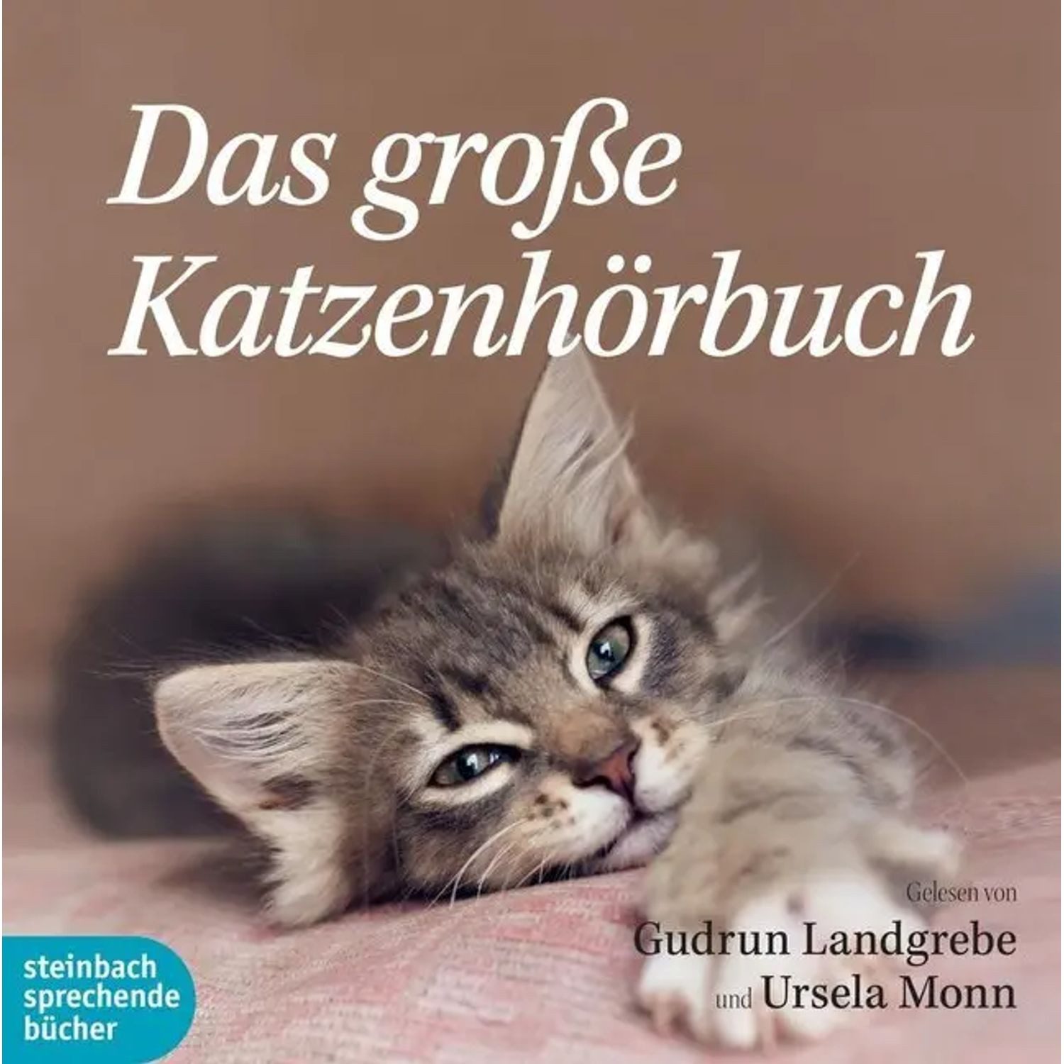 Hörspiel Das große Katzenhörbuch,2 Audio-CDs