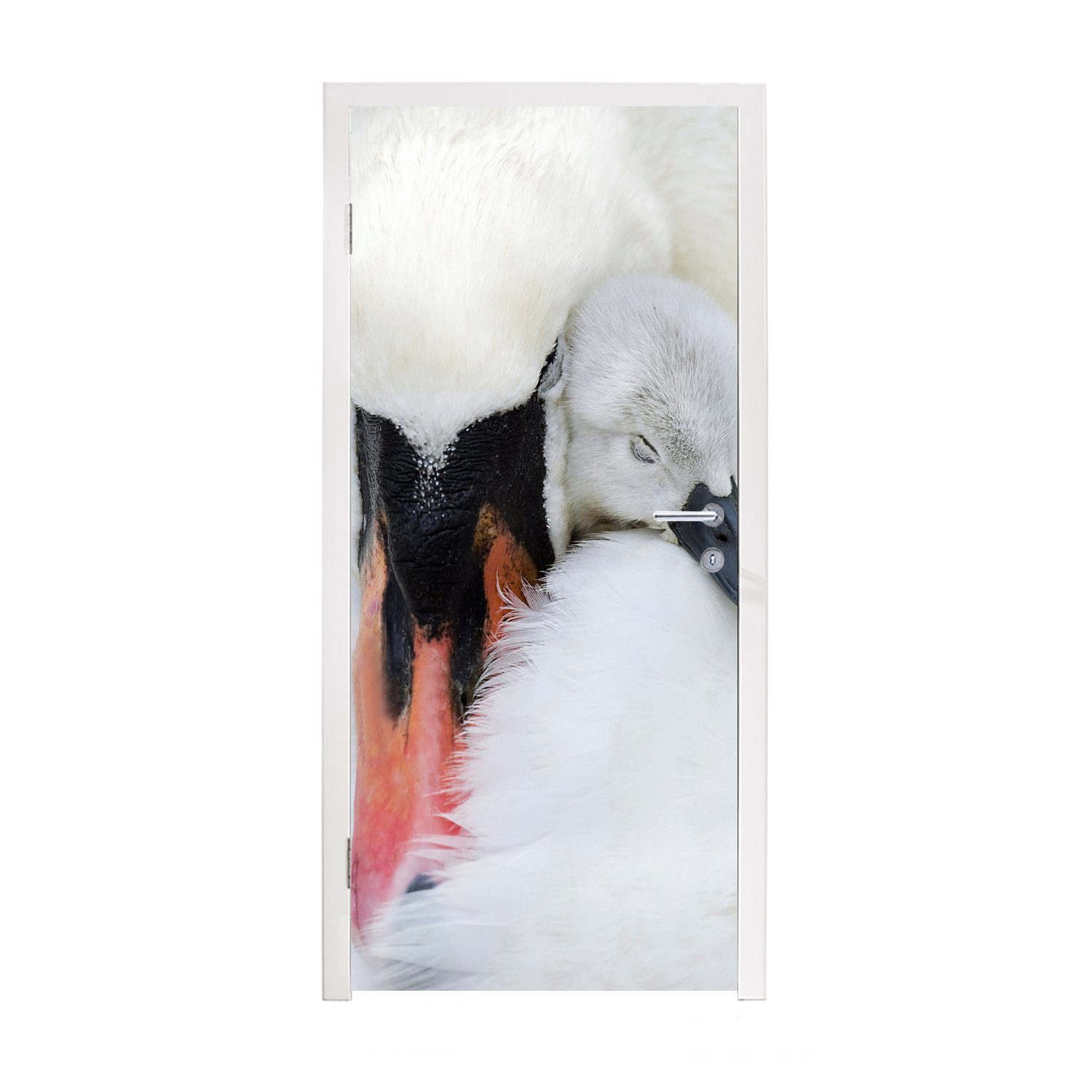 MuchoWow Türtapete Nahaufnahme eines Schwans mit Jungen, Matt, bedruckt, (1 St), Fototapete für Tür, Türaufkleber, 75x205 cm