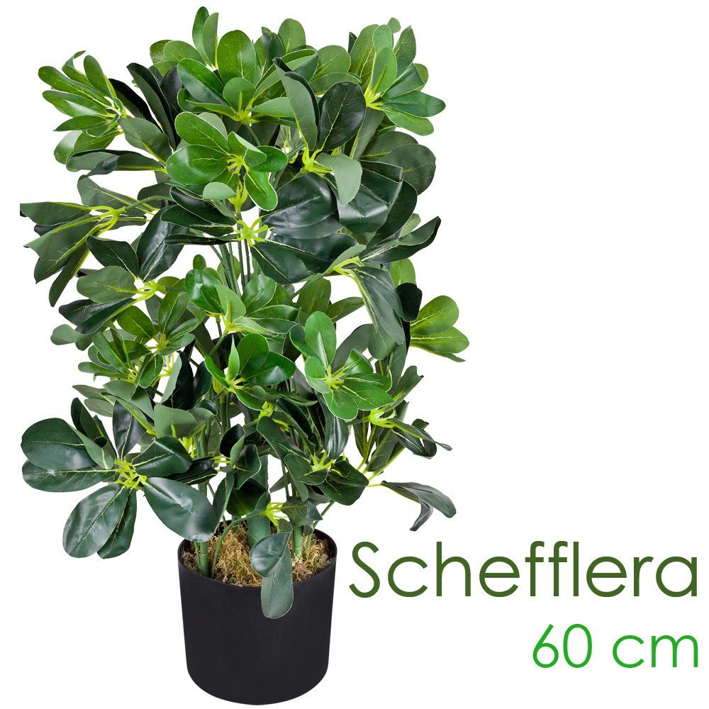 Kunstpflanze Schefflera Aralia Kunstpflanze Künstliche Pflanze Stahlenaralie 60 cm Decovego, Decovego