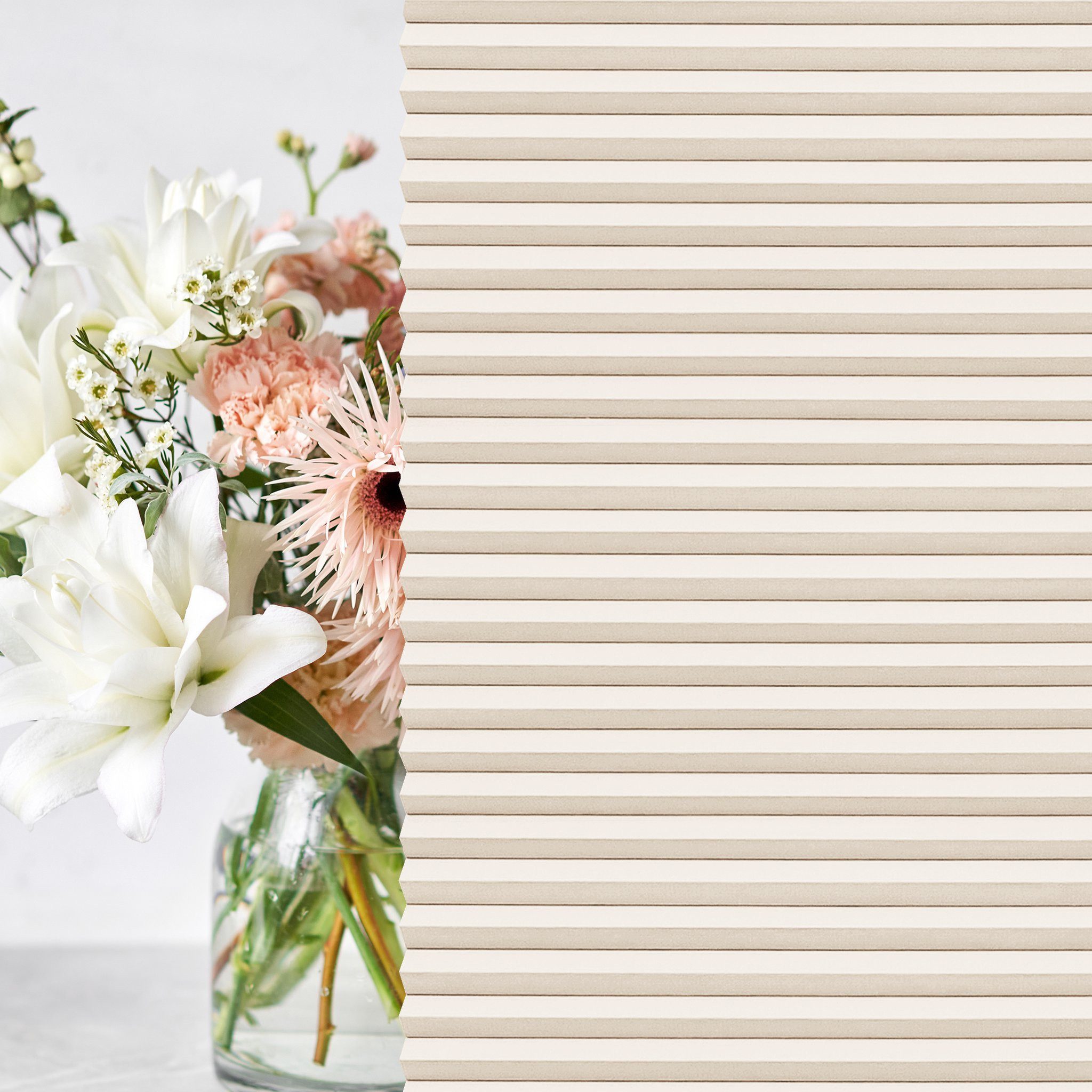 jalousiescout Wabenplissee Pure Wabenplissee, 45 x 90 cm, creme, verdunkeln günstig online kaufen