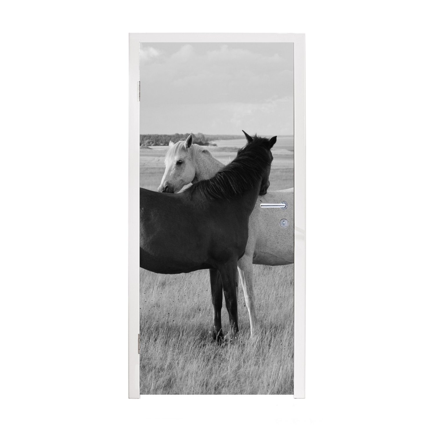 MuchoWow Türtapete Pferde - Tiere - Porträt - Schwarz-Weiß - Landleben, Matt, bedruckt, (1 St), Selbstklebende Tapete, Folie für Möbel, 75x205 cm
