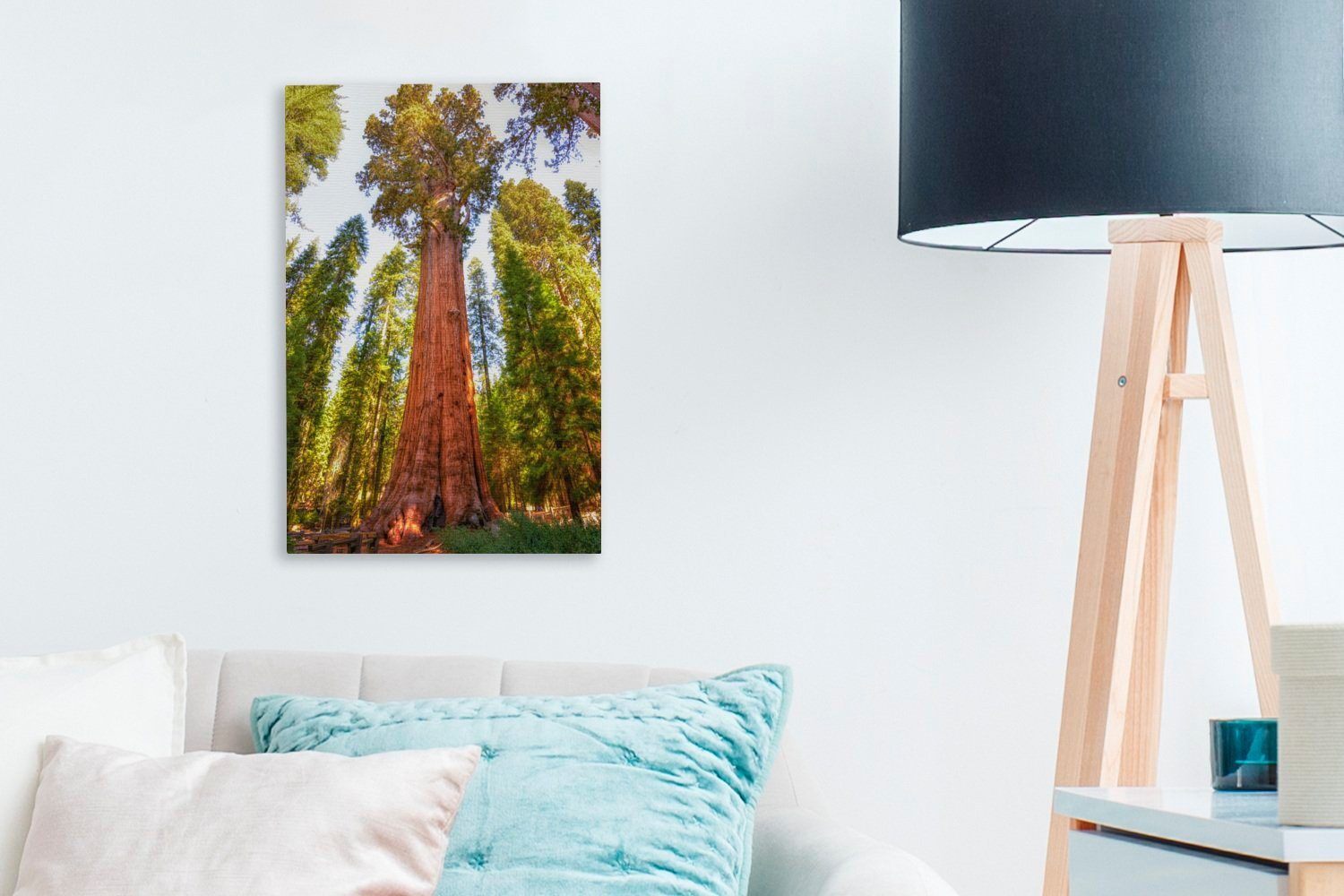 Sequoia-Bäume bespannt Leinwandbild 20x30 St), Zackenaufhänger, Gemälde, cm OneMillionCanvasses® im Leinwandbild Sequoia-Nationalpark in (1 inkl. fertig Nordamerika,