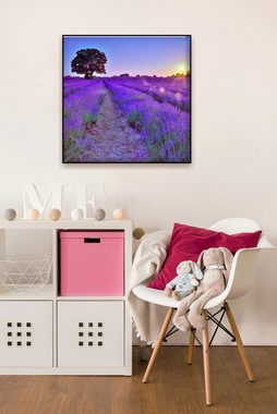 Levandeo® Glasbild, levandeo Glasbild 30x30cm Wandbild Glas Lavendel Feld Sonne
