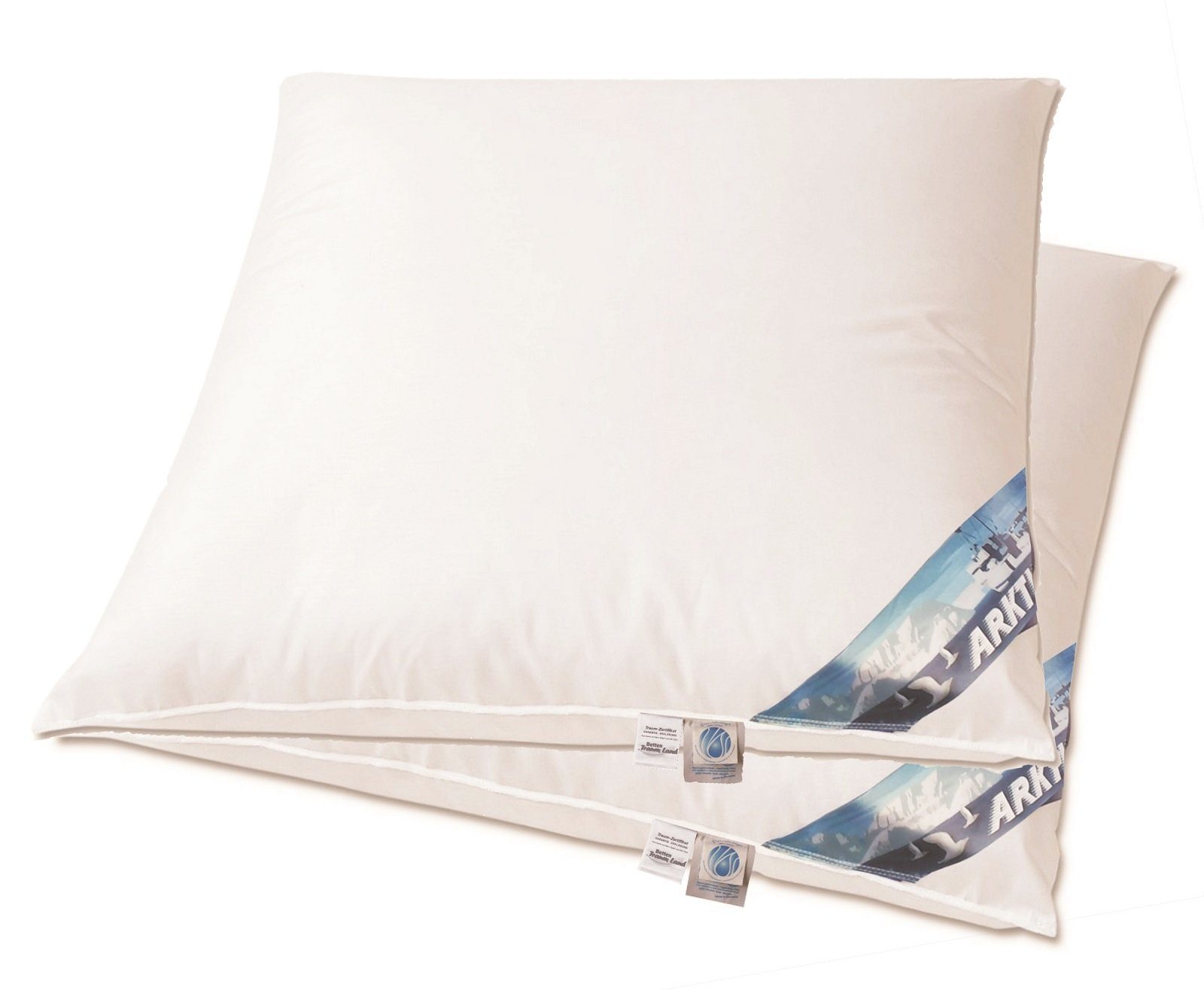 Arktic Daunenkissen Angebotset 2 Kopfkissen Federkissen Daunenkissen, Füllung: 1.000g 85% Feder 15% Daune, Klasse 1, Rückenschläfer, Seitenschläfer, gut gefülltes Kopfkissen