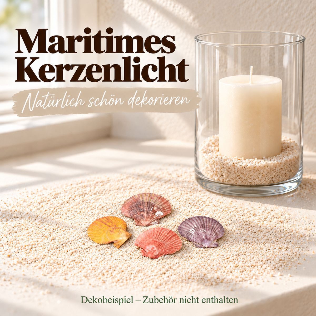 NaDeco Bastelnaturmaterial Pecten nobilis, Natur, 5-8 cm, 0,5 kg ...