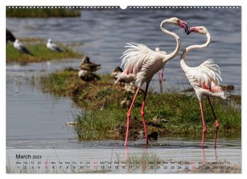 CALVENDO Wandkalender Flamingos Think pink (Premium-Calendar 2023 DIN A2 Landscape)