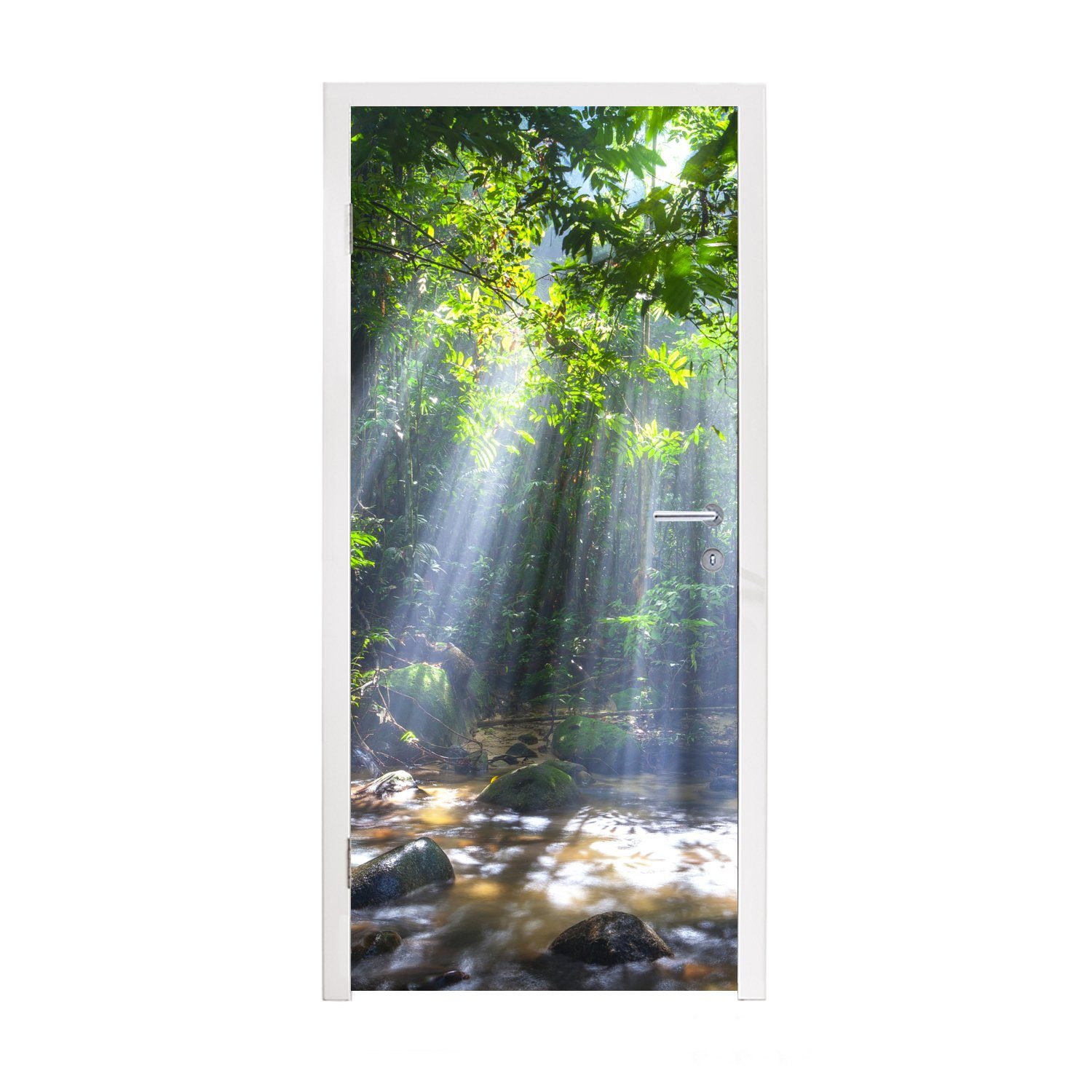 MuchoWow Türtapete Sonnenstrahlen dringen durch die Bäume in den Regenwald von Malaysia, Matt, bedruckt, (1 St), Fototapete für Tür, Türaufkleber, 75x205 cm