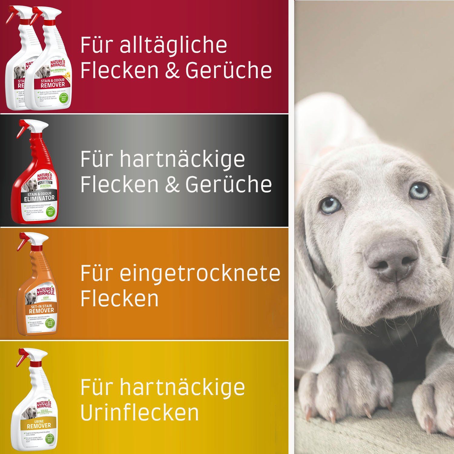 Fleckentferner Urin-Flecken-Entferner ml) Dog (946 Miracle Nature's