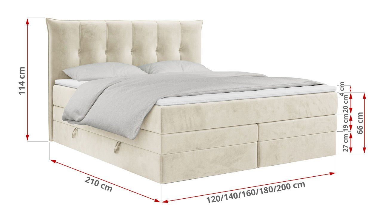 Zwei Matratzen MKS Bettkasten MÖBEL und PREMIUM Polsterbett mit Doppelmatratze, Boxspringbett KING, 10