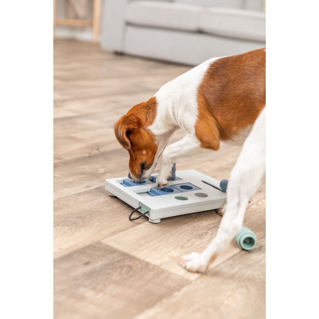 TRIXIE Tier-Intelligenzspielzeug Mini Mover Strategiespiel - diverse - 25 × 20 cm, Kunststoff