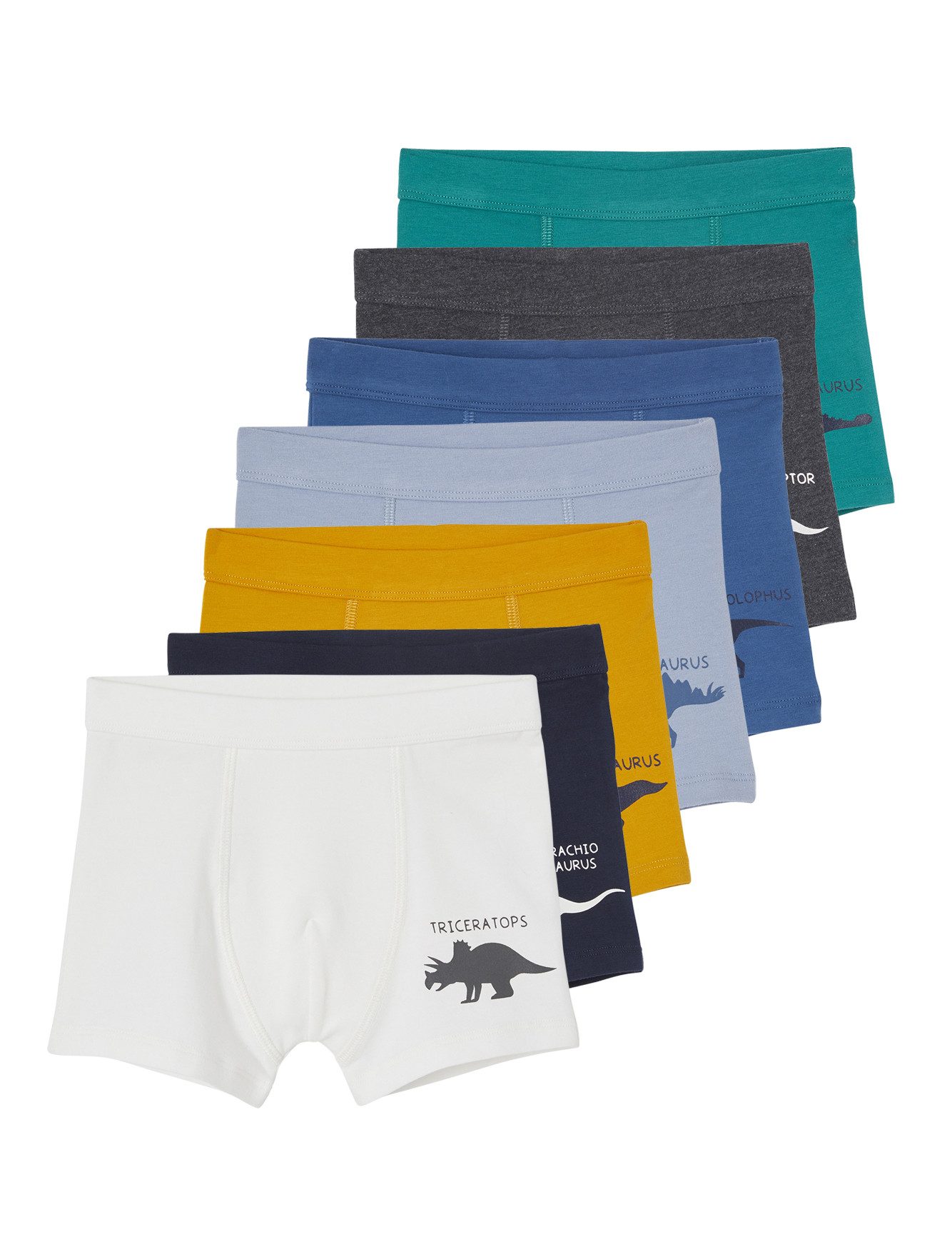 Boxershorts Jungen Boxershorts, Dinosaurier