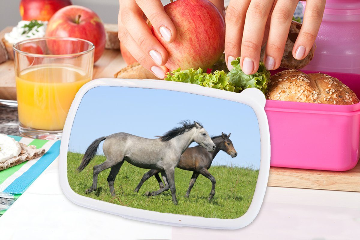 MuchoWow Lunchbox Mädchen, Kinder, Kunststoff, Brotdose rosa Pferde - (2-tlg), Tiere für - Gras, Brotbox Kunststoff Snackbox, Erwachsene