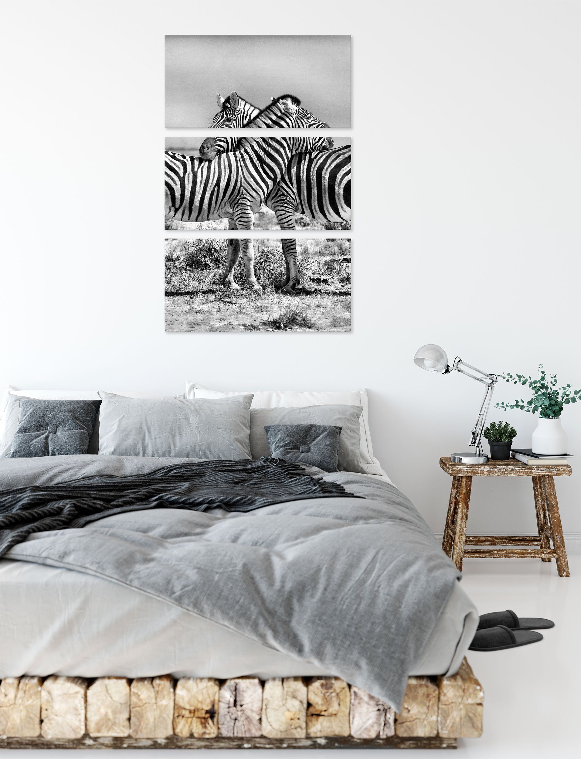 Pixxprint Leinwandbild Schmusende Zebras, 3Teiler Schmusende Leinwandbild (120x80cm) (1 bespannt, Zebras fertig inkl. Zackenaufhänger St)