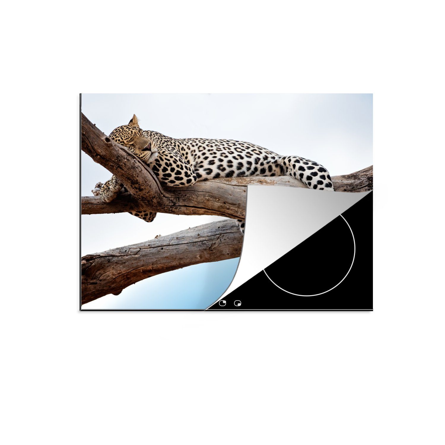 MuchoWow Herdblende-/Abdeckplatte Leopard auf dem Baum, Vinyl, (1 tlg), 70x52 cm, Mobile Arbeitsfläche nutzbar, Ceranfeldabdeckung | Herdabdeckplatten