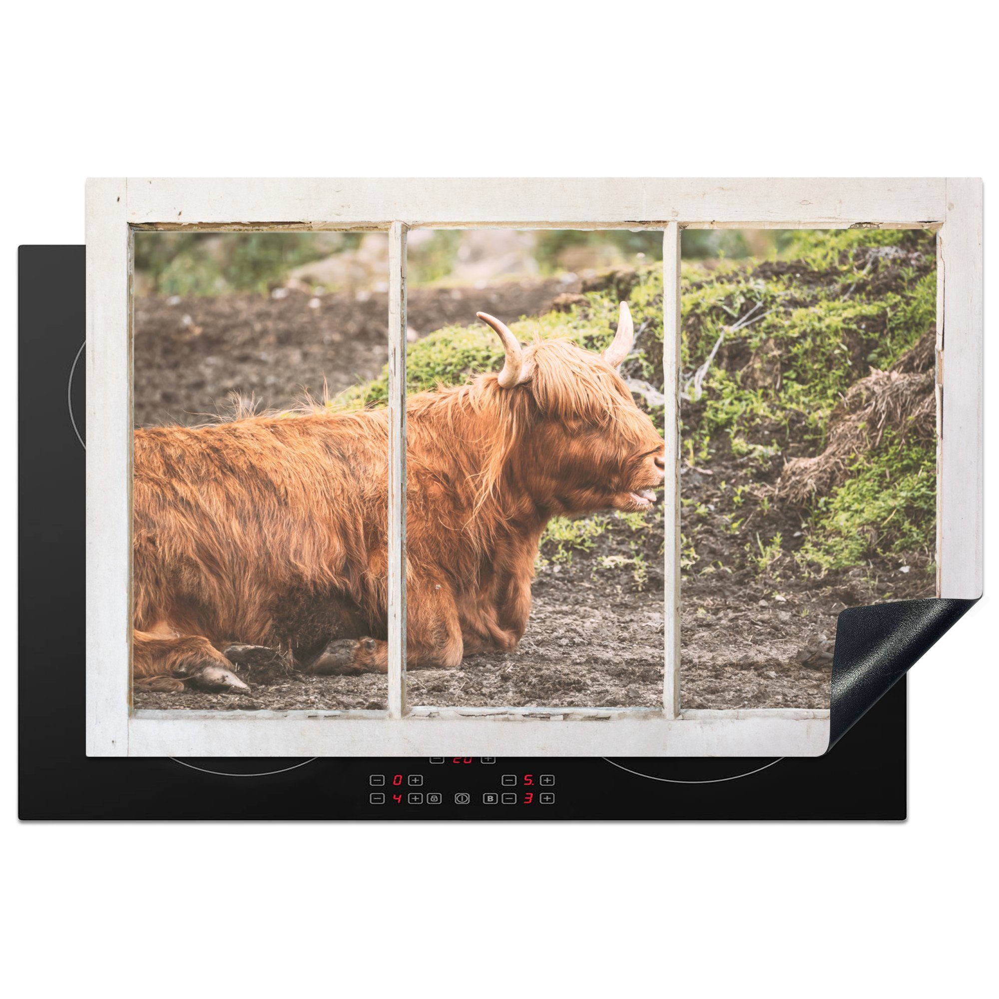 MuchoWow Herdblende-/Abdeckplatte Schottische Highlander - Ansicht - Natur, Vinyl, (1 tlg), 81x52 cm, Induktionskochfeld Schutz für die küche, Ceranfeldabdeckung