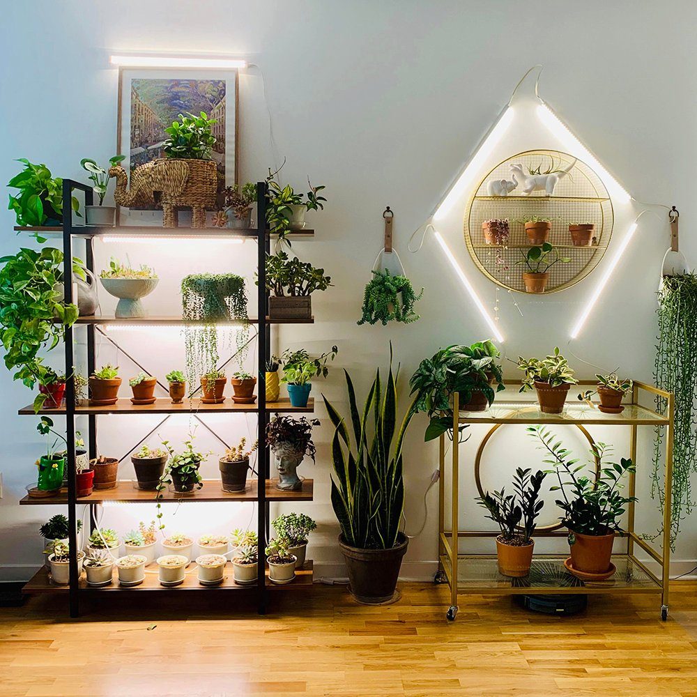 Rosnek Pflanzenlampe 30/50cm, Sämlinge, Fruchtgemüse Zimmerpflanzen Sonnenlicht, für Anschließbar, Blüte Sonnenlicht