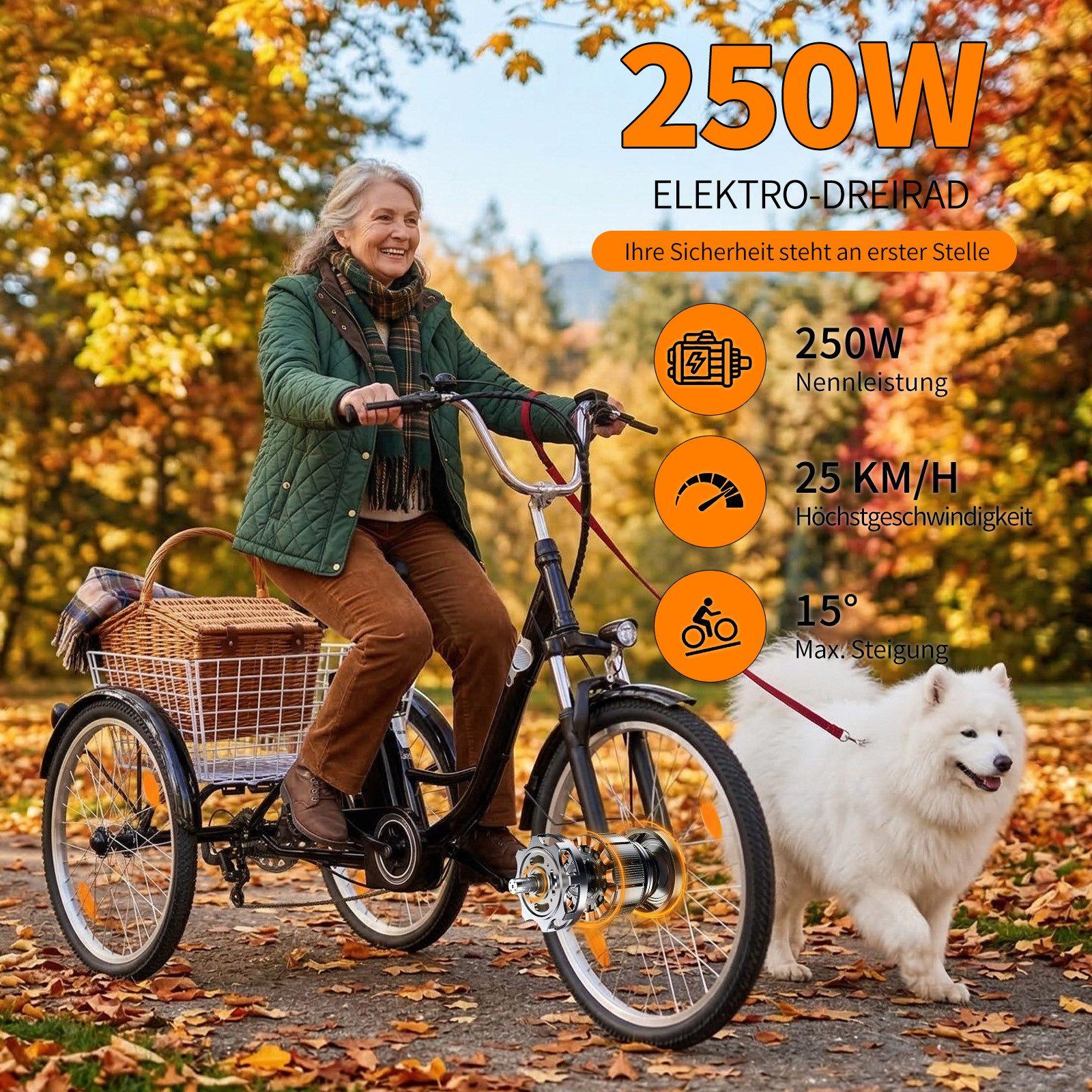 Vankel E-Bike Cityrad GM7plus 3 rad E-Fahrrad Damen u. Herren 540WH Pedelec, 36V 15AH 70 km, Kettenschaltung, Frontmotor, 720 Wh, (Beleuchtungsset mit Batterieladegerät, Batterieschlüssel, Werkzeug), Elektrisches 3-Rad-Dreirad E-bikes, cargo 150kg Zuladung, mit Korb