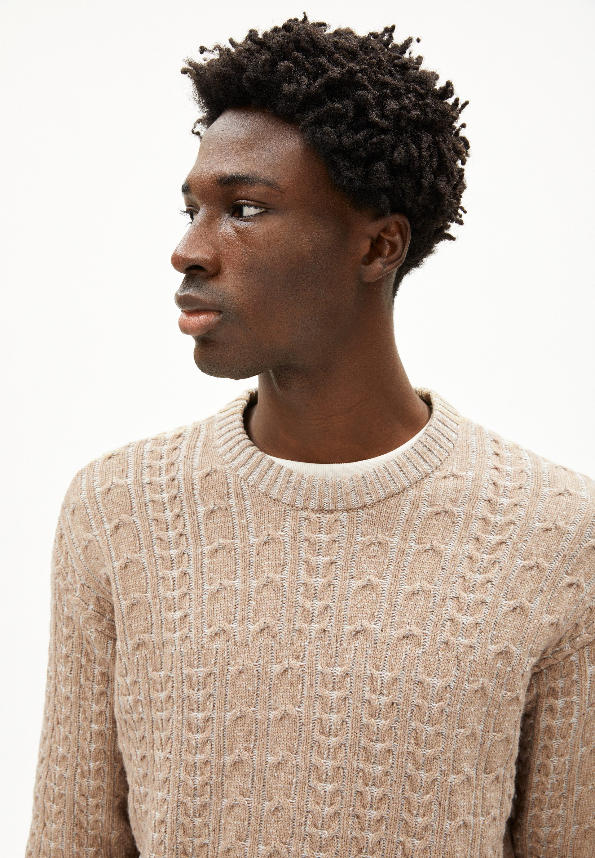 Armedangels Strickpullover DAAKO Pullover aus Bio-Baumwoll Mix Regular Fit