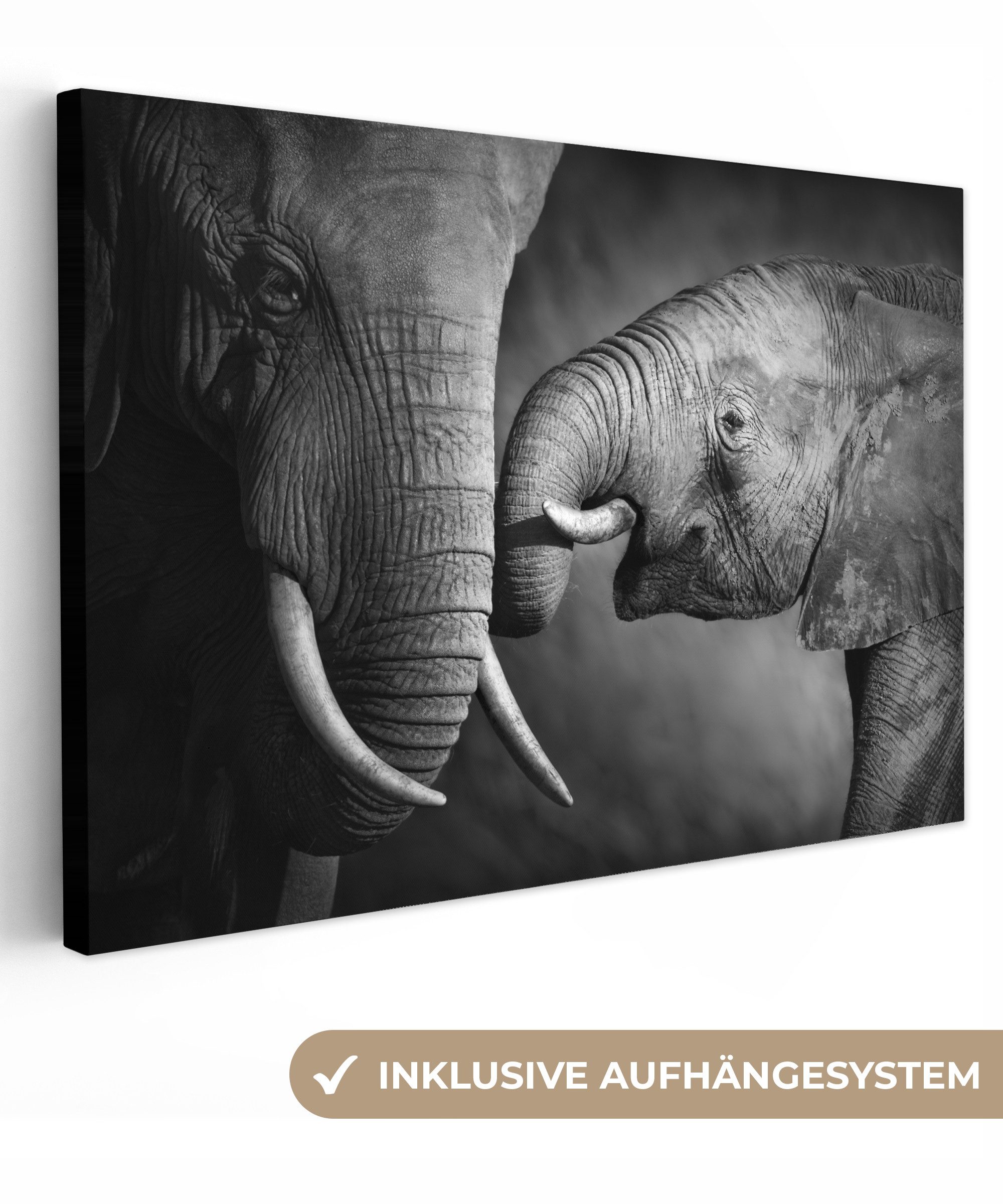 OneMillionCanvasses® Leinwandbild Wildtiere - Elefant - günstig online kaufen