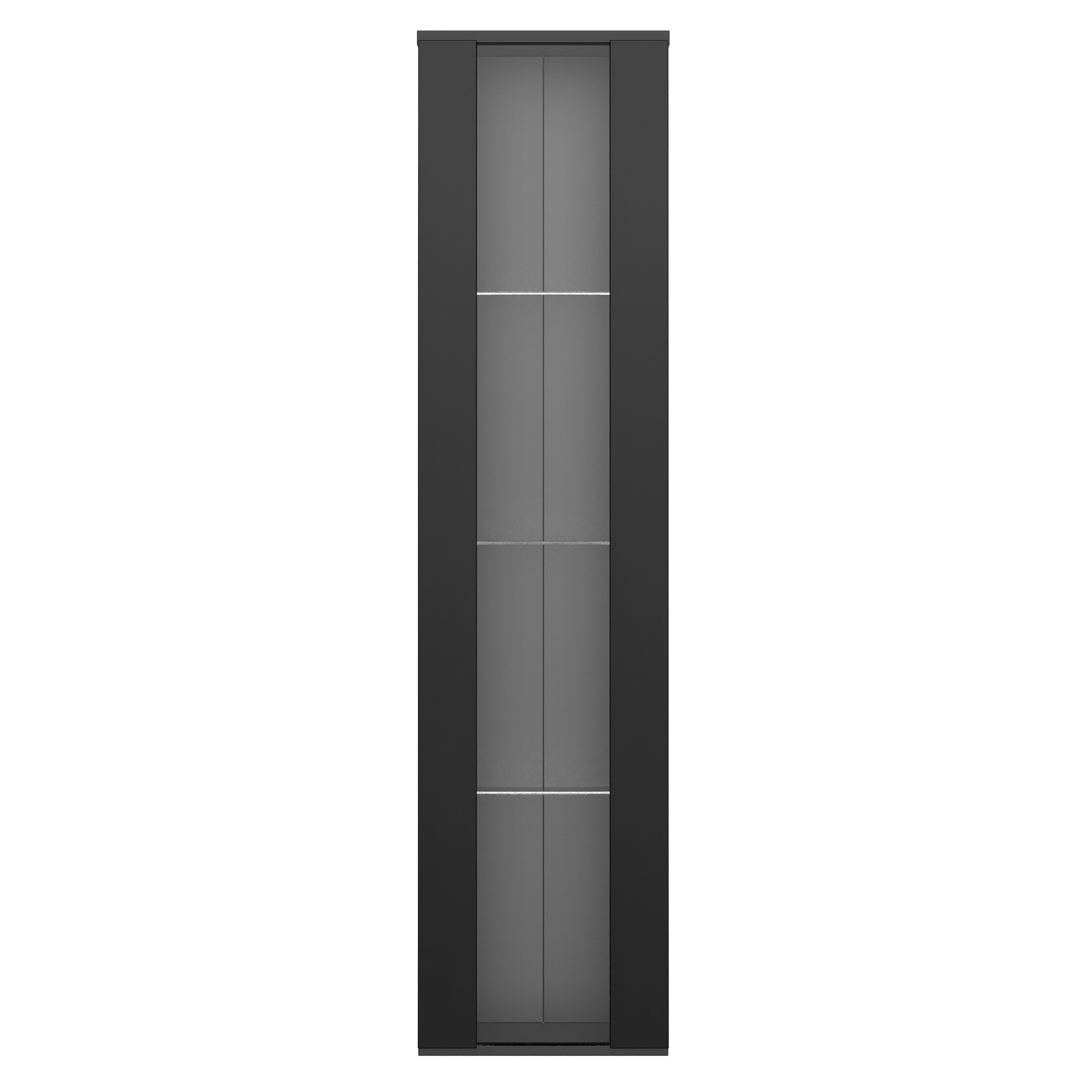 Flieks Glasvitrine Hochschrank Vitrine mit LED-Beleuchtung und Glaseinlegeböden (Einlegeböden aus Glas, 1-St., B40/T29/H170 cm) multifunktionale Standvitrine mit Acryltüren Wohnzimmerschrank Schwarz