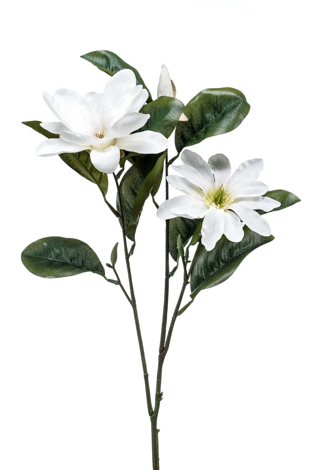 Kunstzweig Künstliche Magnolie BEGUR, weiß, 80cm