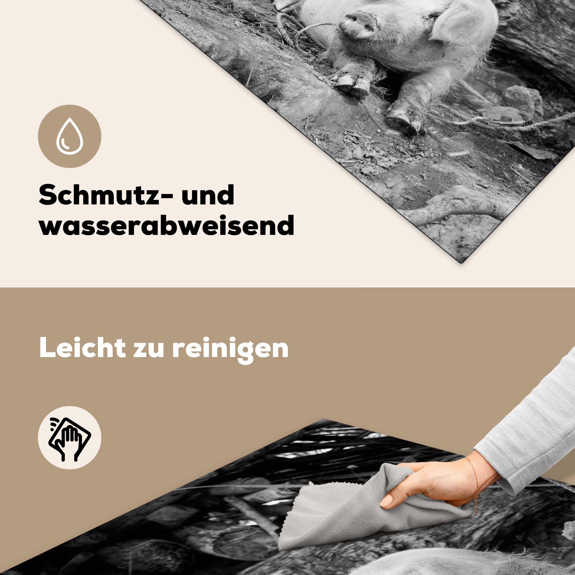 MuchoWow Herdblende-/Abdeckplatte Lügenschwein - küche für weiß, und (1 78x78 Vinyl, schwarz Ceranfeldabdeckung, Arbeitsplatte tlg), cm