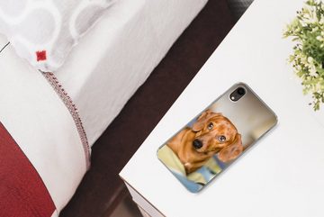 MuchoWow Handyhülle Dackel liegend auf einem Bett, Handyhülle Apple iPhone XR, Smartphone-Bumper, Print, Handy