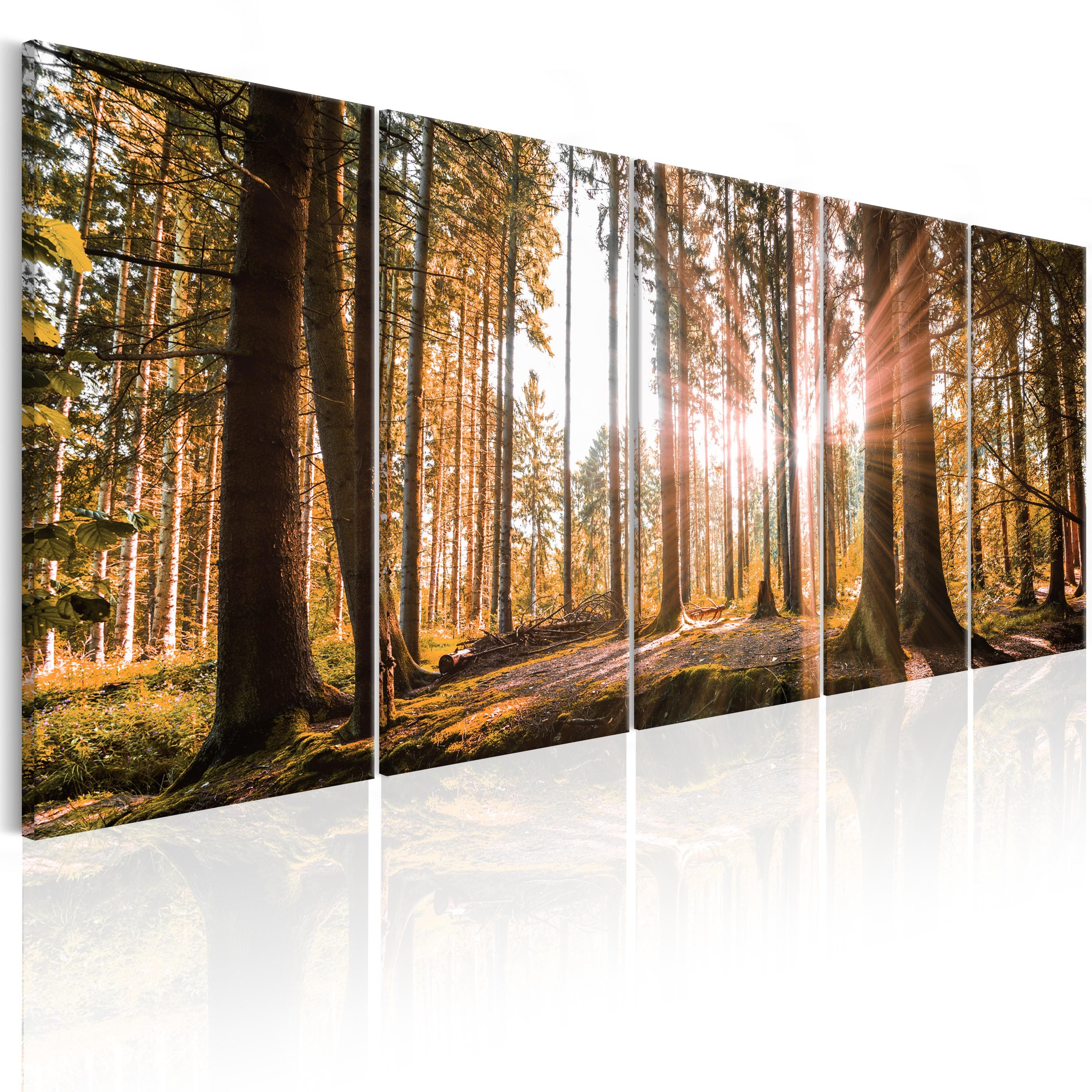 Artgeist Wandbild Beauty of Nature