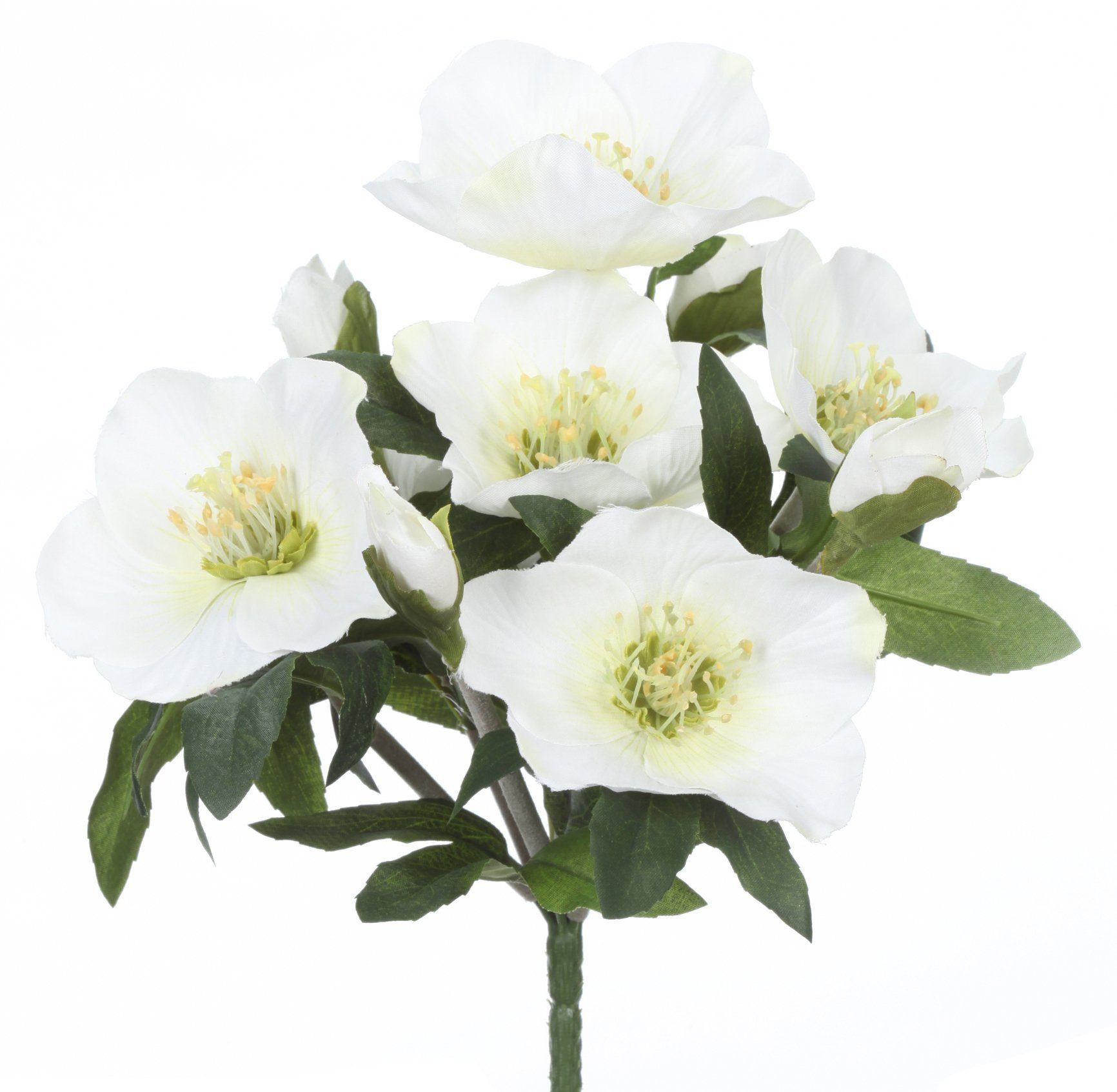 Winterliche Kunstpflanze Weihnachtsdeko Christrose, Creativ green, Höhe 25 cm, 3 Büsche mit je 7 Blüten und Knospen
