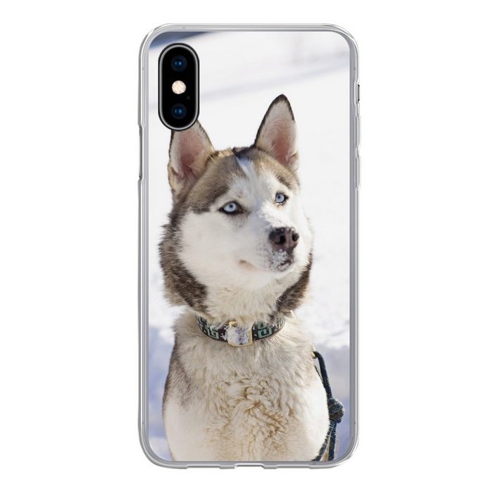 MuchoWow Handyhülle Sibirischer Schlittenhund im Schnee Handyhülle Apple iPhone X/10 Smartphone-Bumper Print Handy