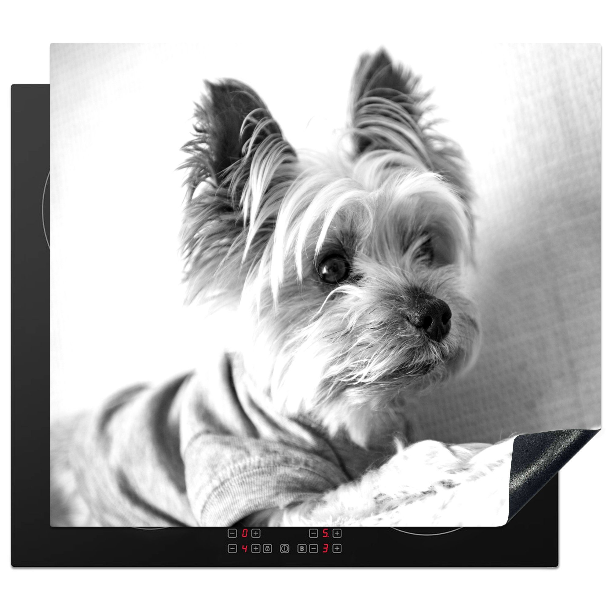 MuchoWow Herdblende-/Abdeckplatte Yorkshire Terrier im Ceranfeldabdeckung weiß, die Vinyl, - (1 Induktionsmatte und Trikot tlg), schwarz cm, küche, 59x52 für