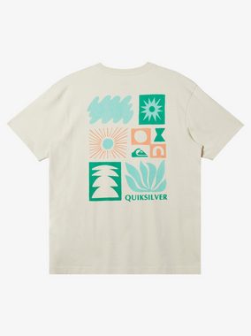 Quiksilver Print-Shirt Natural Forms - T-Shirt für Männer