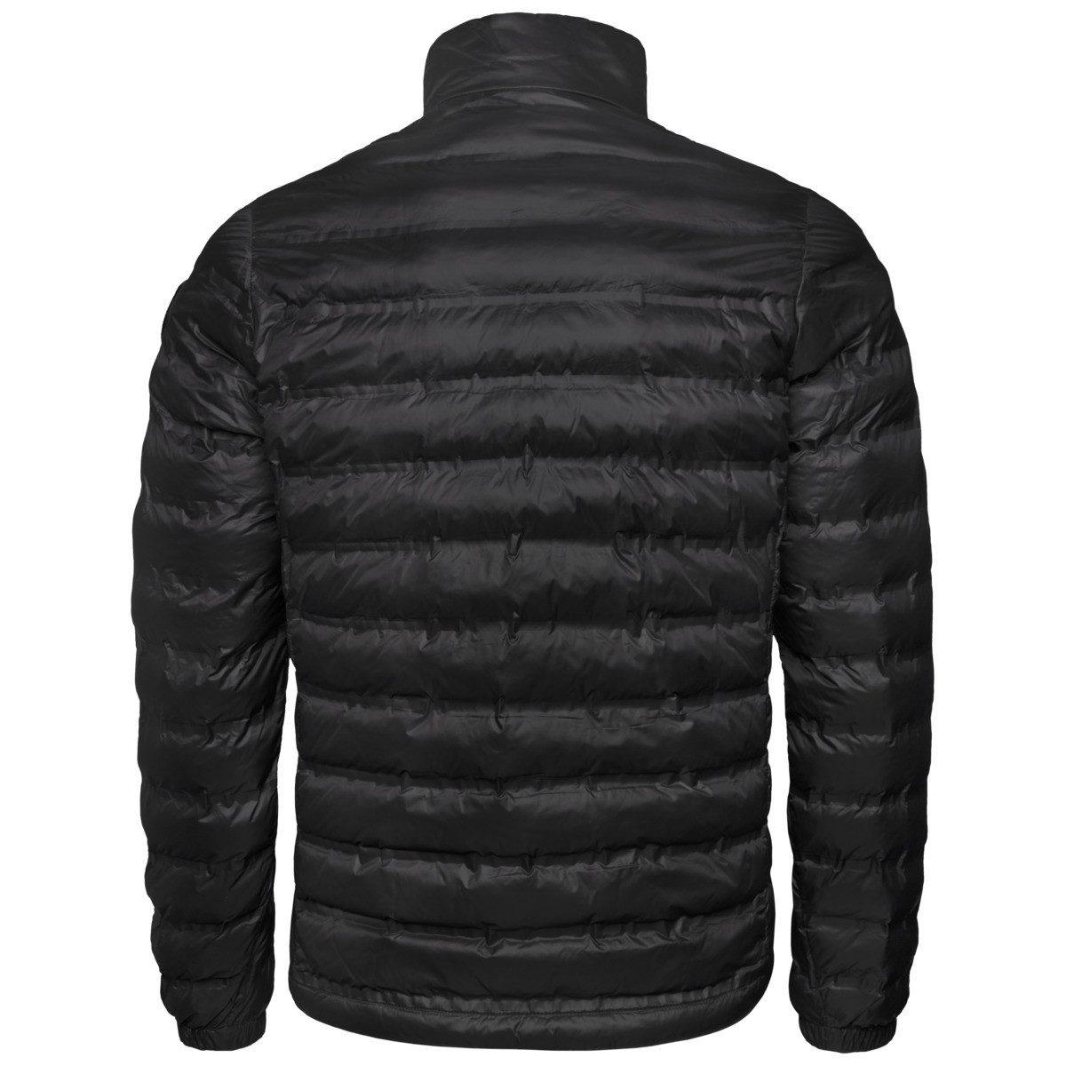 Blauer Steppjacke Sewall Herren günstig online kaufen