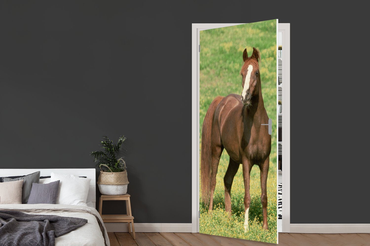 MuchoWow Türtapete Pferde 75x205 Matt, St), (1 cm bedruckt, Gras Tür, Fototapete Braun, Türaufkleber, - für 