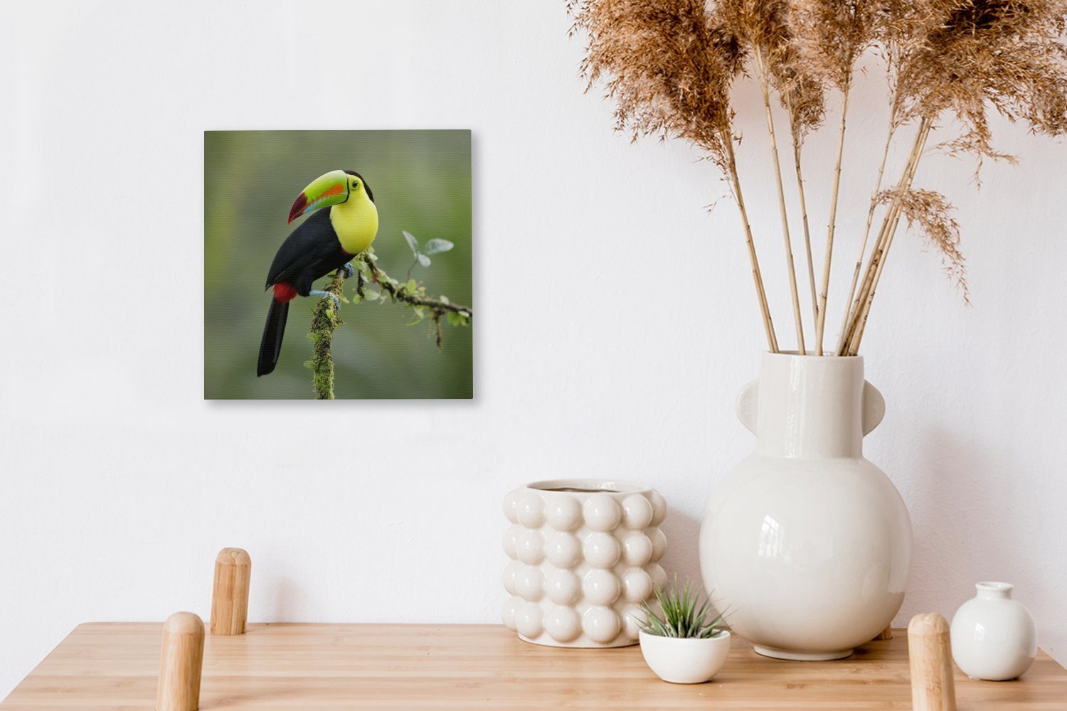 OneMillionCanvasses® Leinwandbild Ein Tukan ruht sich Bilder aus, moosbewachsenen einem Leinwand Ast Wohnzimmer St), auf für (1 Schlafzimmer