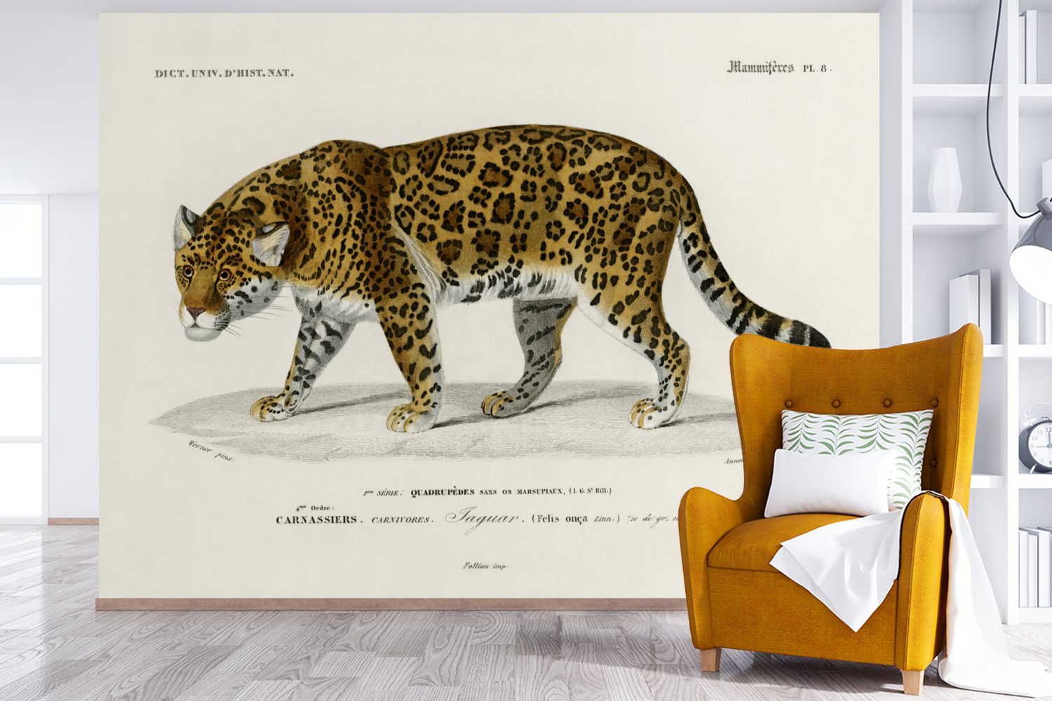 MuchoWow Fototapete Wallpaper Tier, Vinyl Tapete für St), - Schlafzimmer, - Matt, (6 Wohnzimmer, Kinderzimmer, Jaguar Jahrgang bedruckt