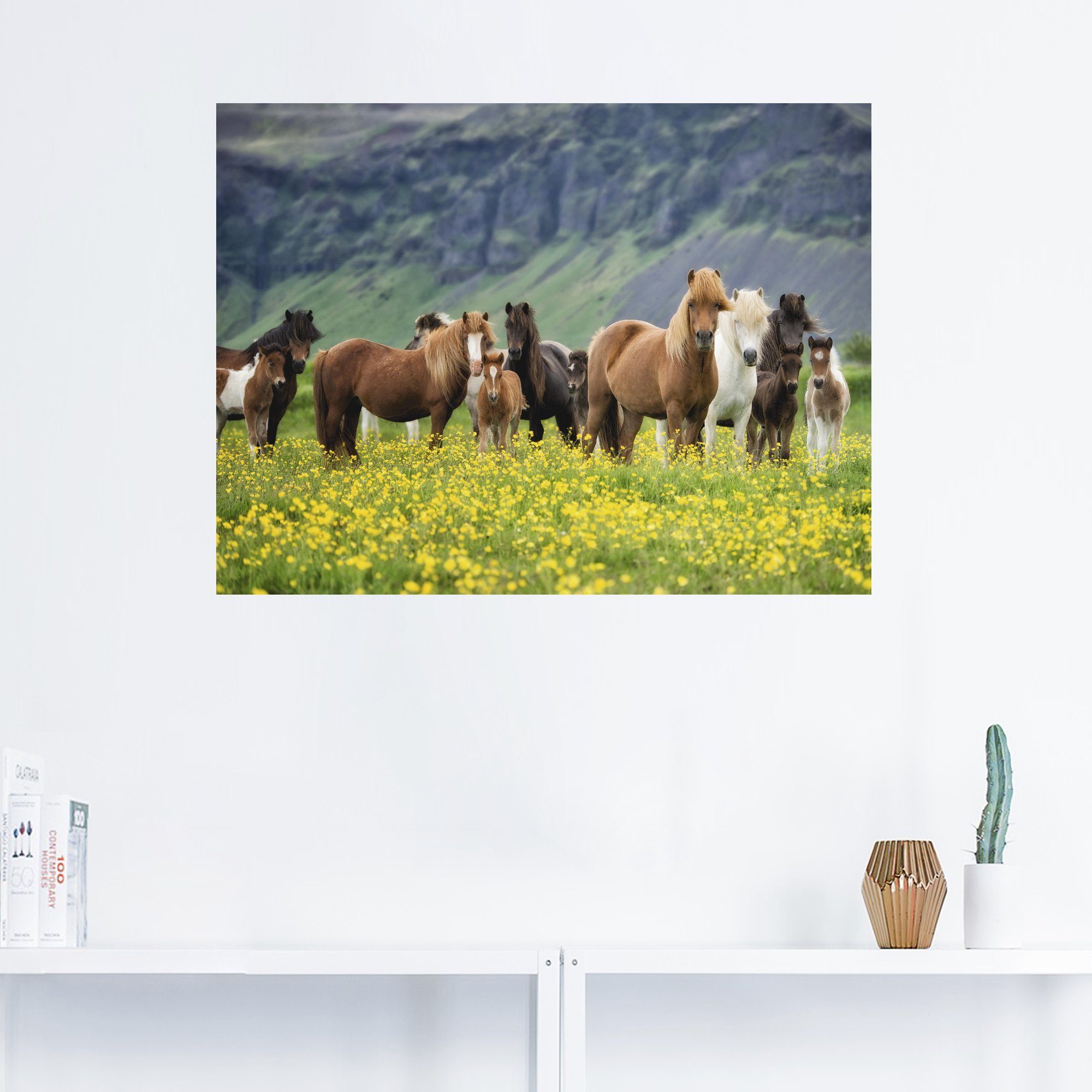 Artland Wandbild Isländische Pferde VII, (1 Leinwandbild, oder Größen Poster St), Alubild, Wandaufkleber in als Haustiere versch
