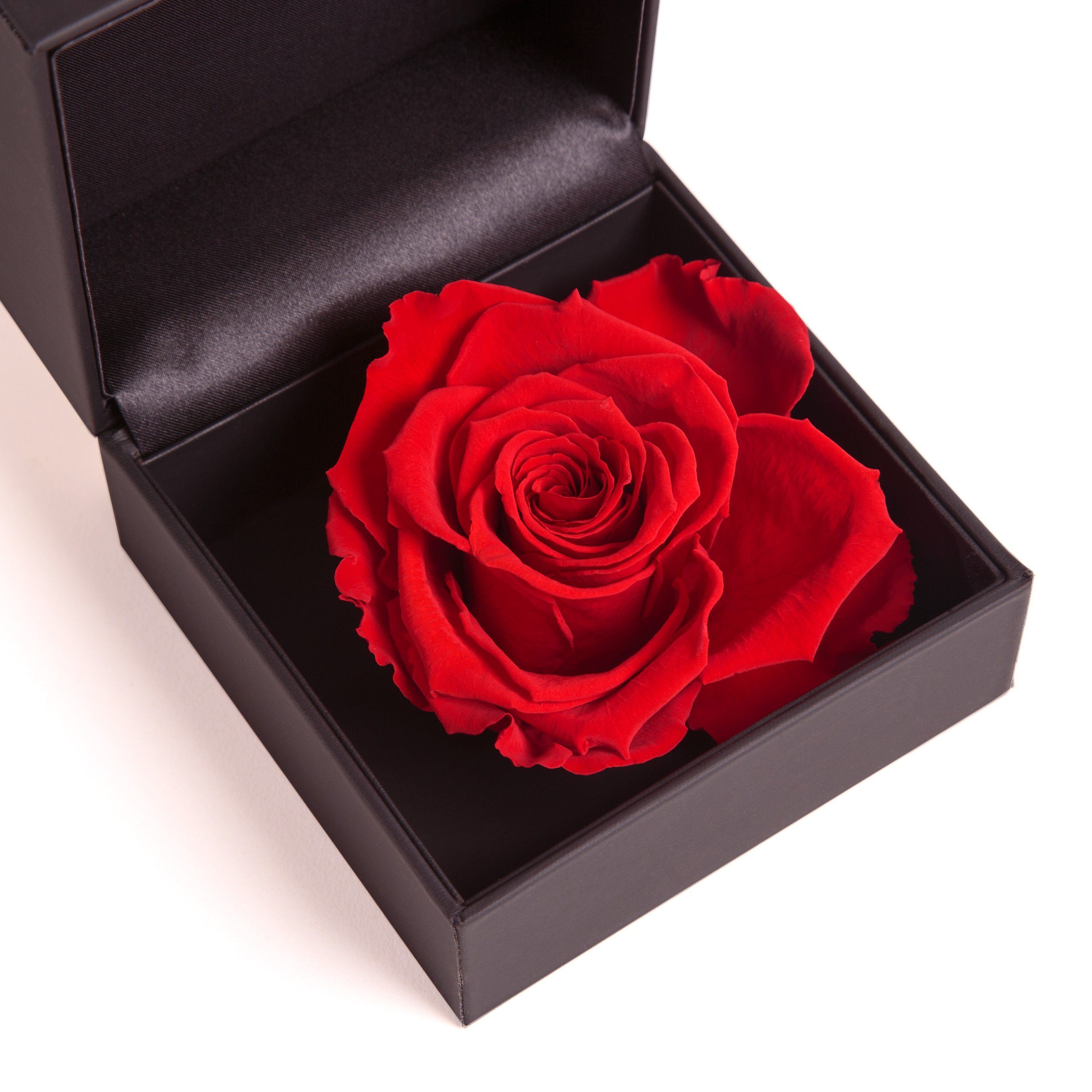 in Infinity Höhe Rose cm, Rot Ringdose ROSEMARIE Rose, 9 konserviert Langlebige Rosenbox Heidelberg, SCHULZ Box Rose Ringbox Groß Kunstblume