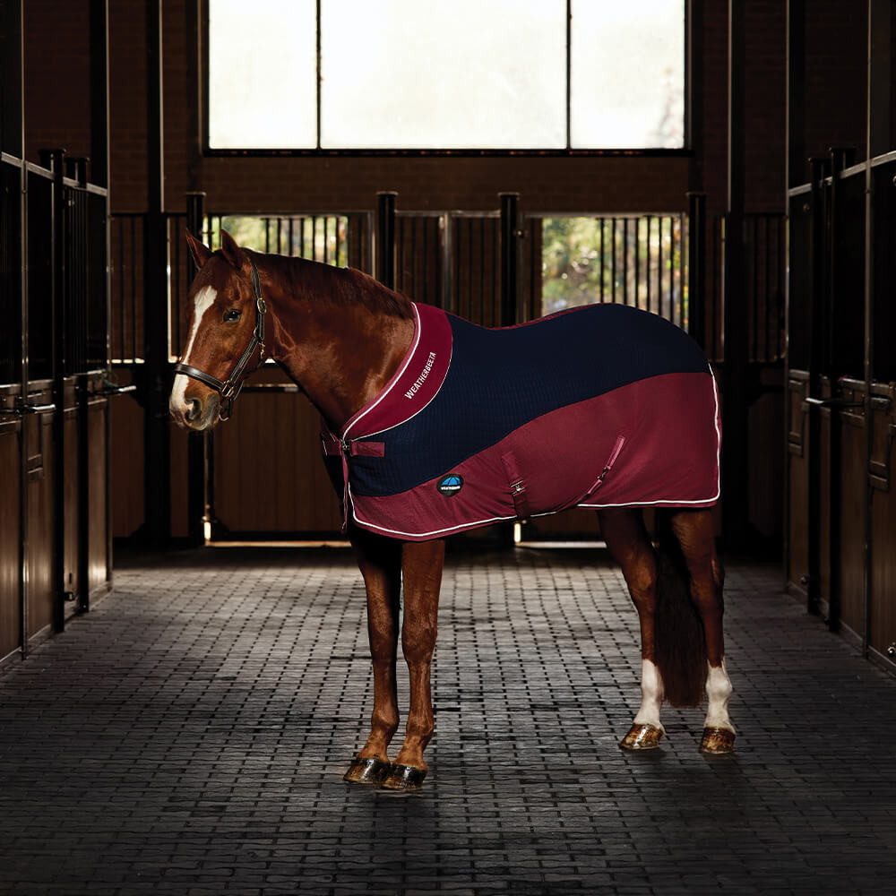 WeatherBeeta Pferde-Abschwitzdecke Weatherbeeta Thermo-Air Abschwitzdecke Standard