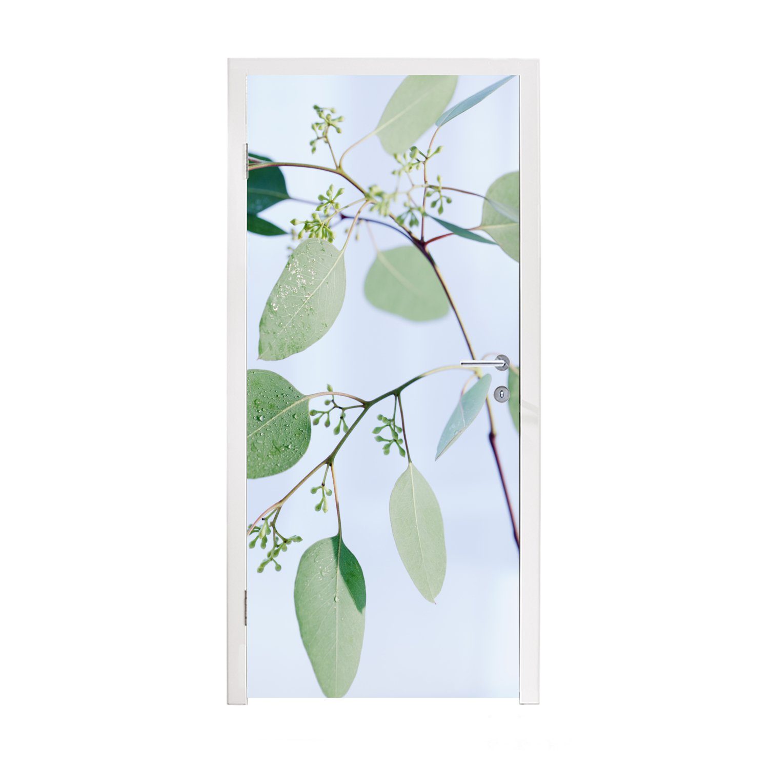 MuchoWow Türtapete Eukalyptuszweige mit Blättern, Matt, bedruckt, (1 St), Fototapete für Tür, Türaufkleber, 75x205 cm