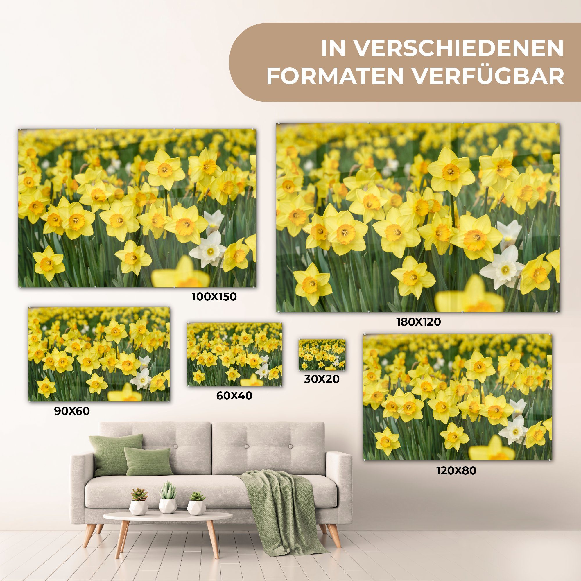 - Wohnzimmer Acrylglasbilder Acrylglasbild - (1 Schlafzimmer MuchoWow St), Blumen Gelb & Narzissen,